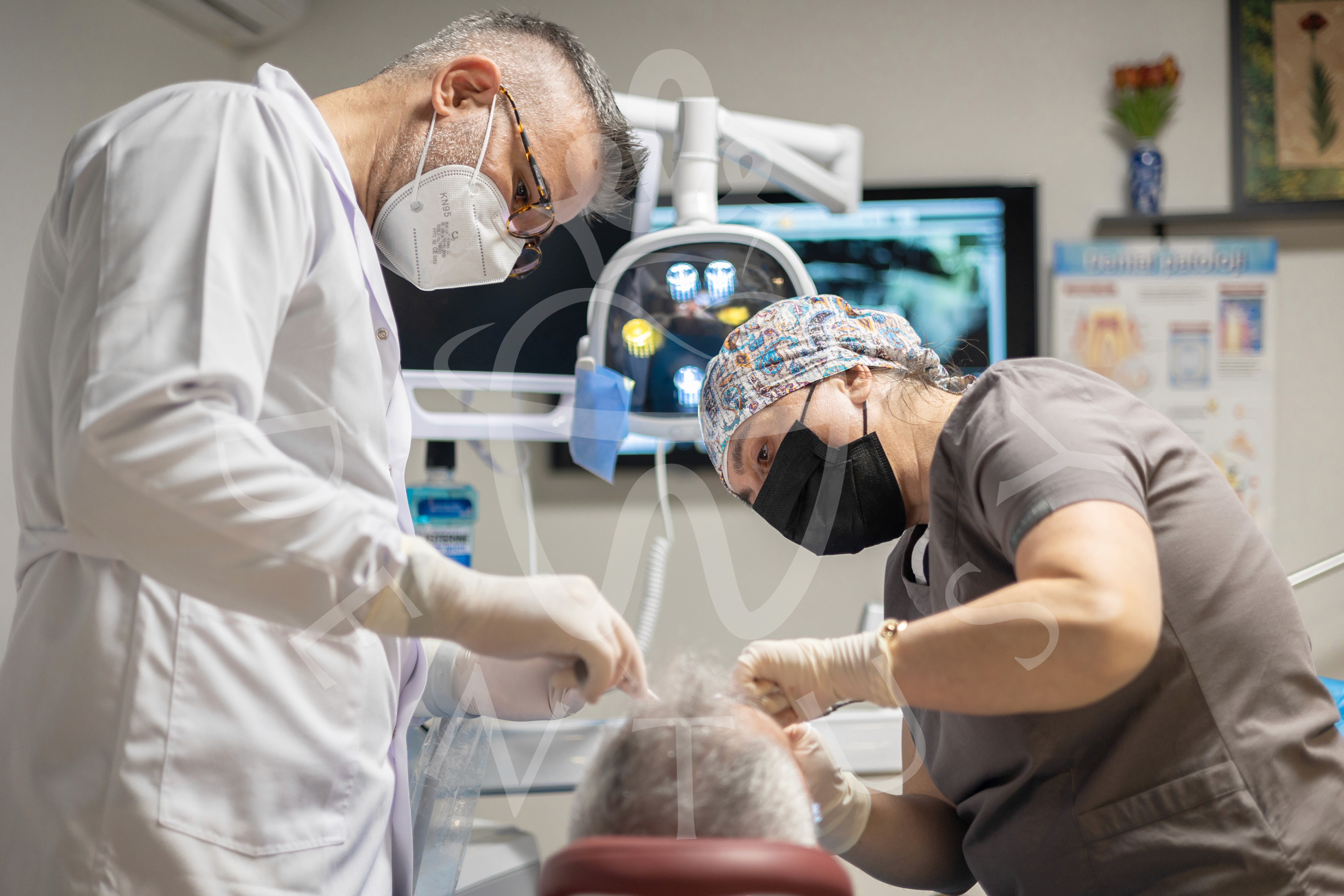 Here comes the alt text