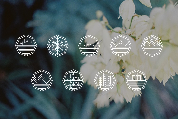 The image displays nine white hexagons arranged in a 3x3 grid. Each hexagon contains distinct line-art illustrations: a mountain range, a snowflake, a tree, a cluster of trees, a stylized building, a grain stalk, a tree with leaves, a tree with pine needles, and a tree with evergreen branches. The hexagons are set against a blurred background of white flowers and foliage.