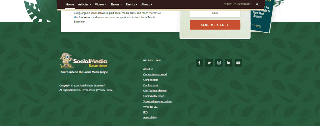 social media examiner