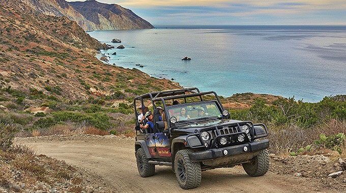 Eco Tours 2024 Catalina Island
