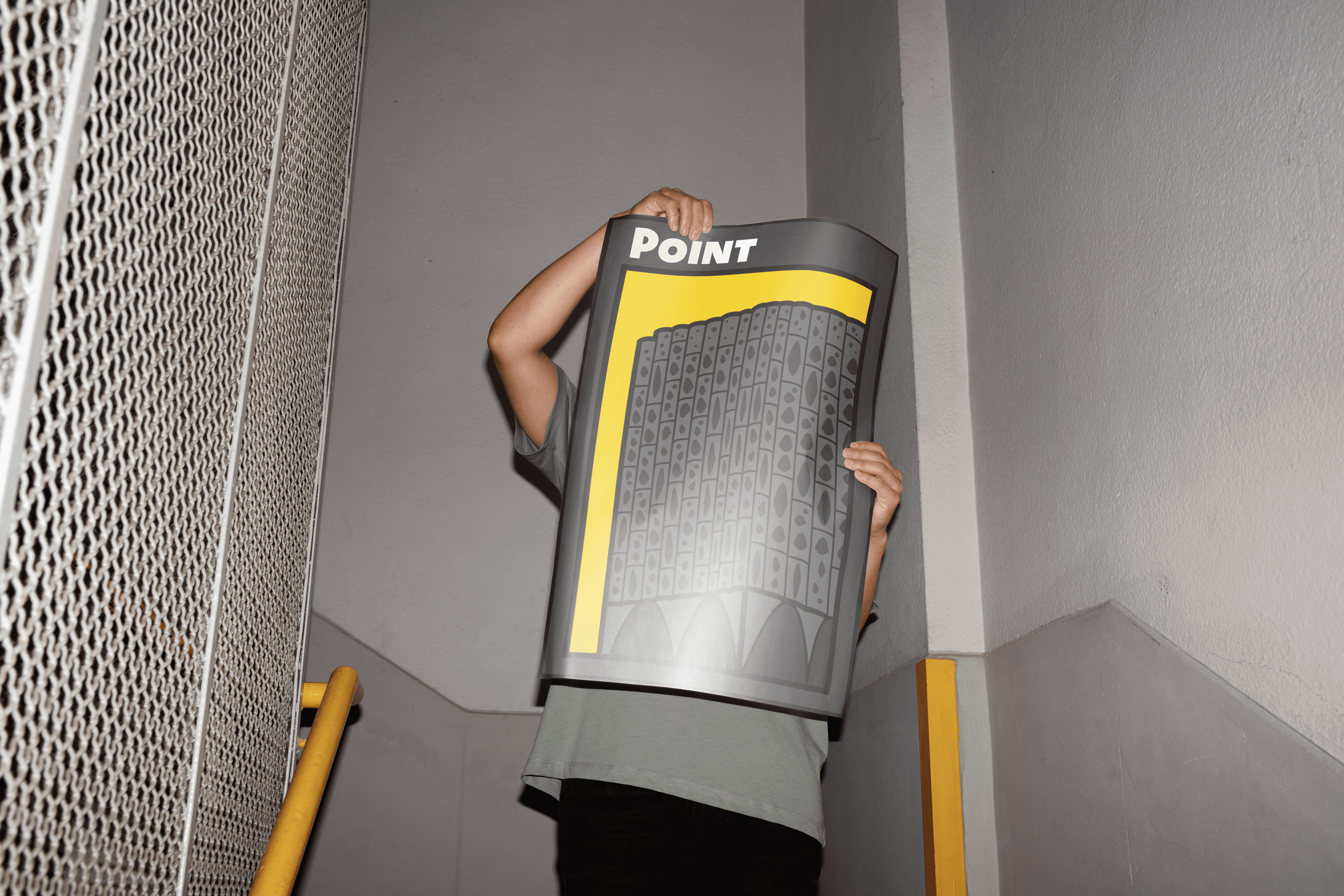 gray Beats by Dr, Dre portable Bluetooth speaker