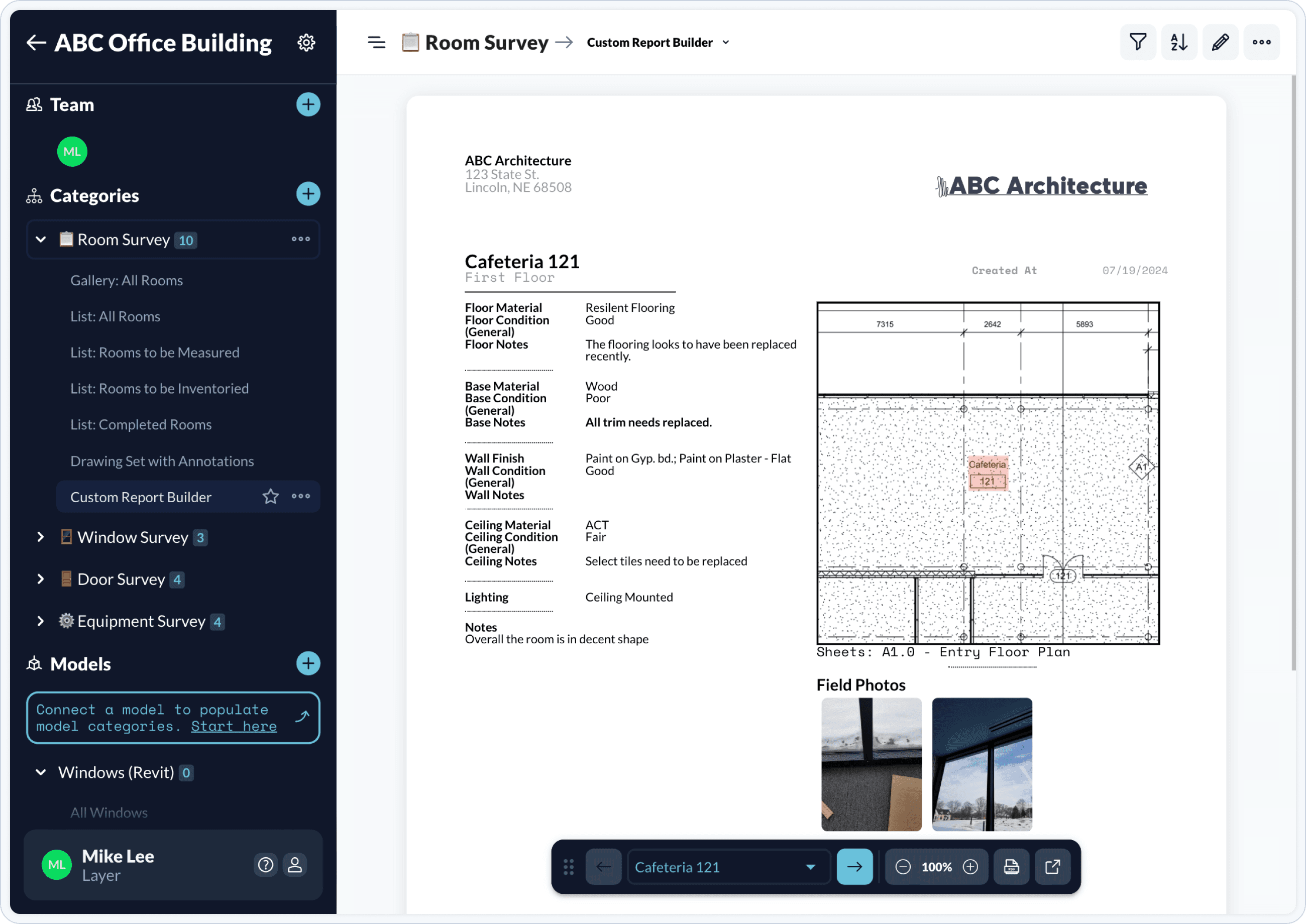 building survey pdf view