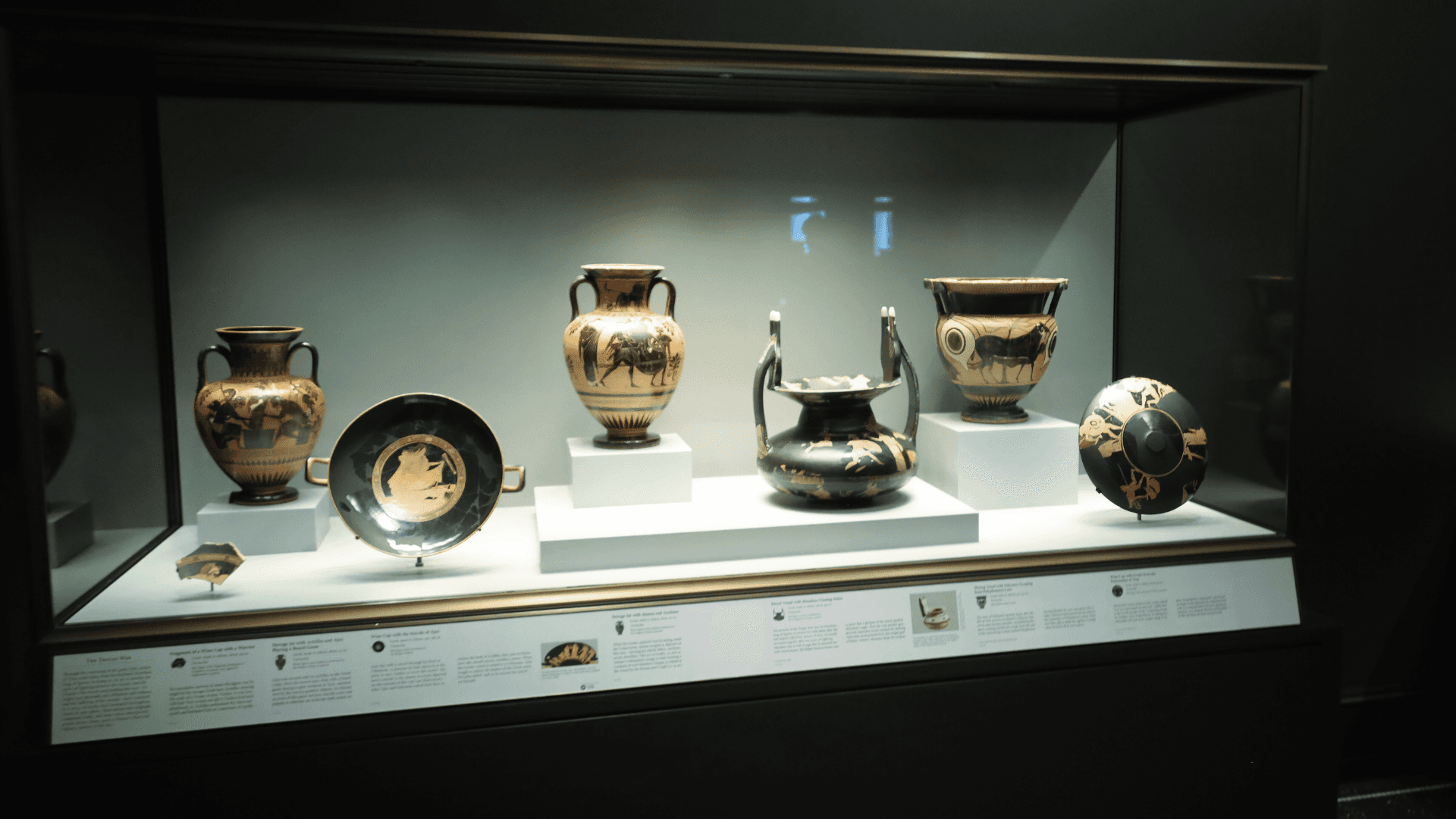brown airplane under water
