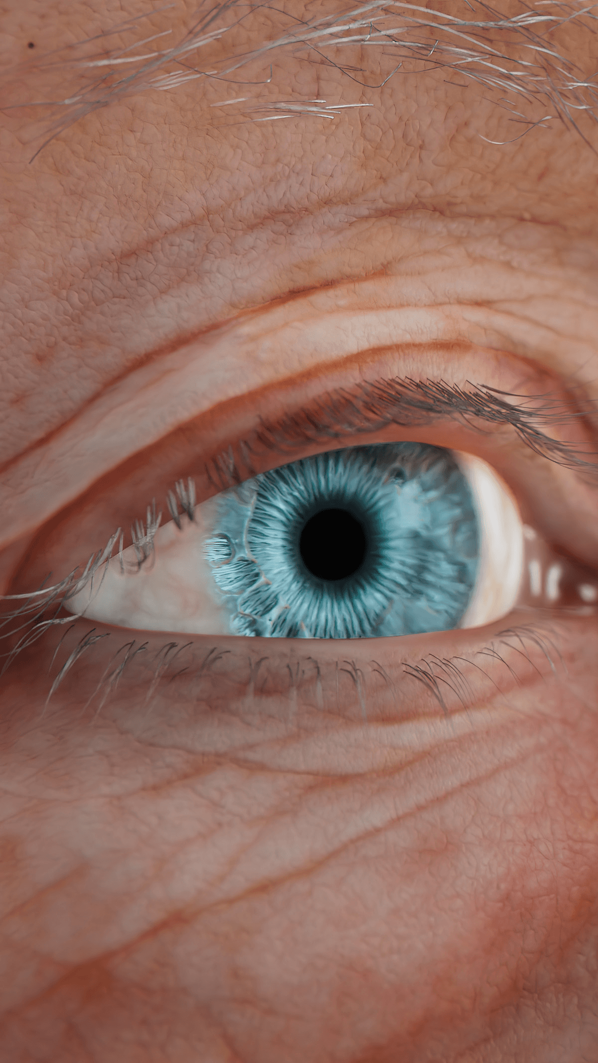 3D visualization of an eye on the human face