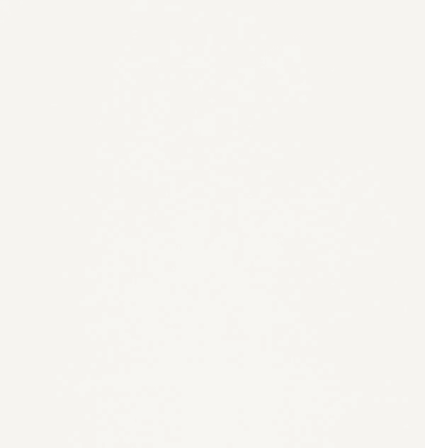 Cabinets: Painted White Shaker Wood