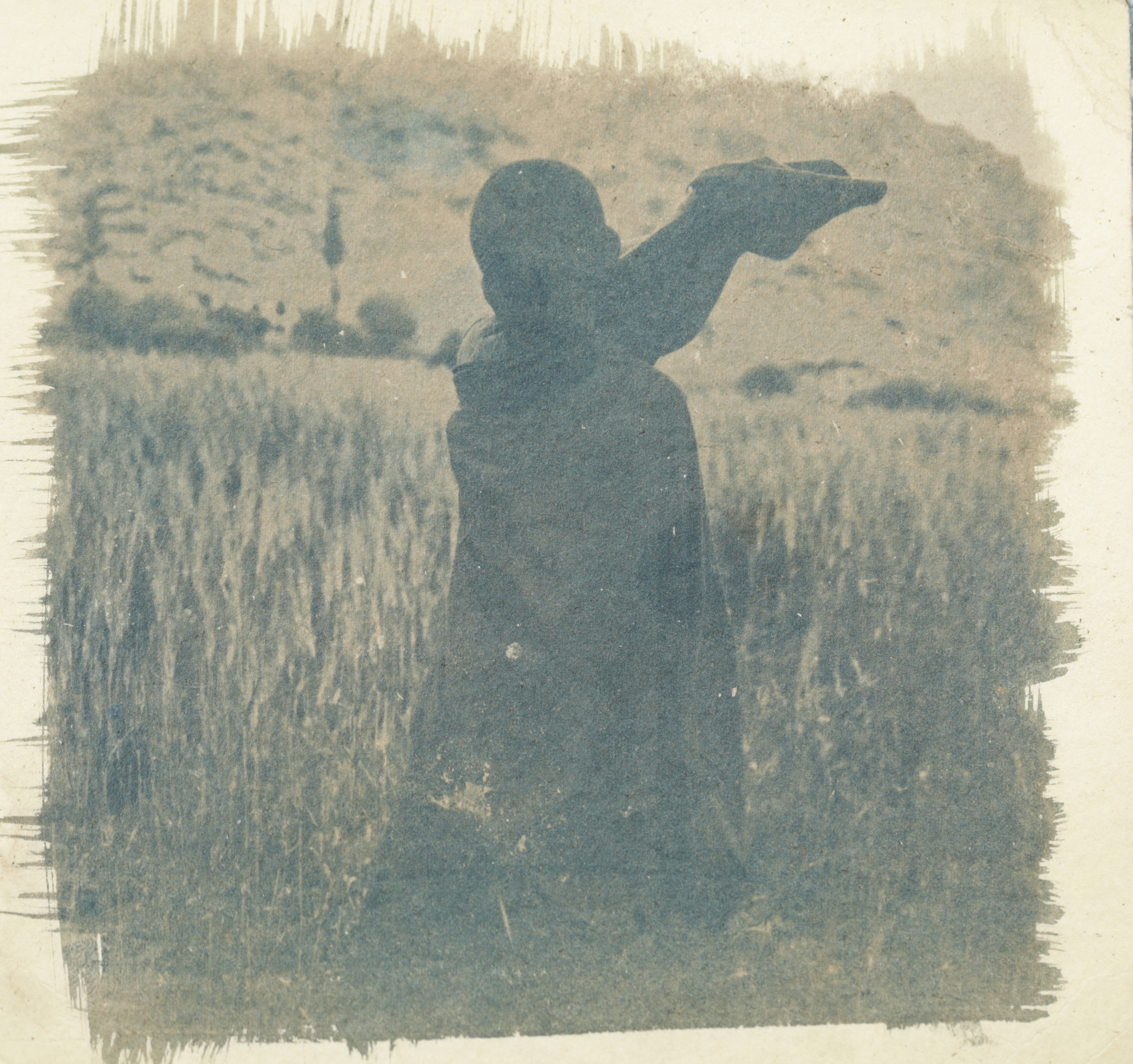 herd of sheep on road painting