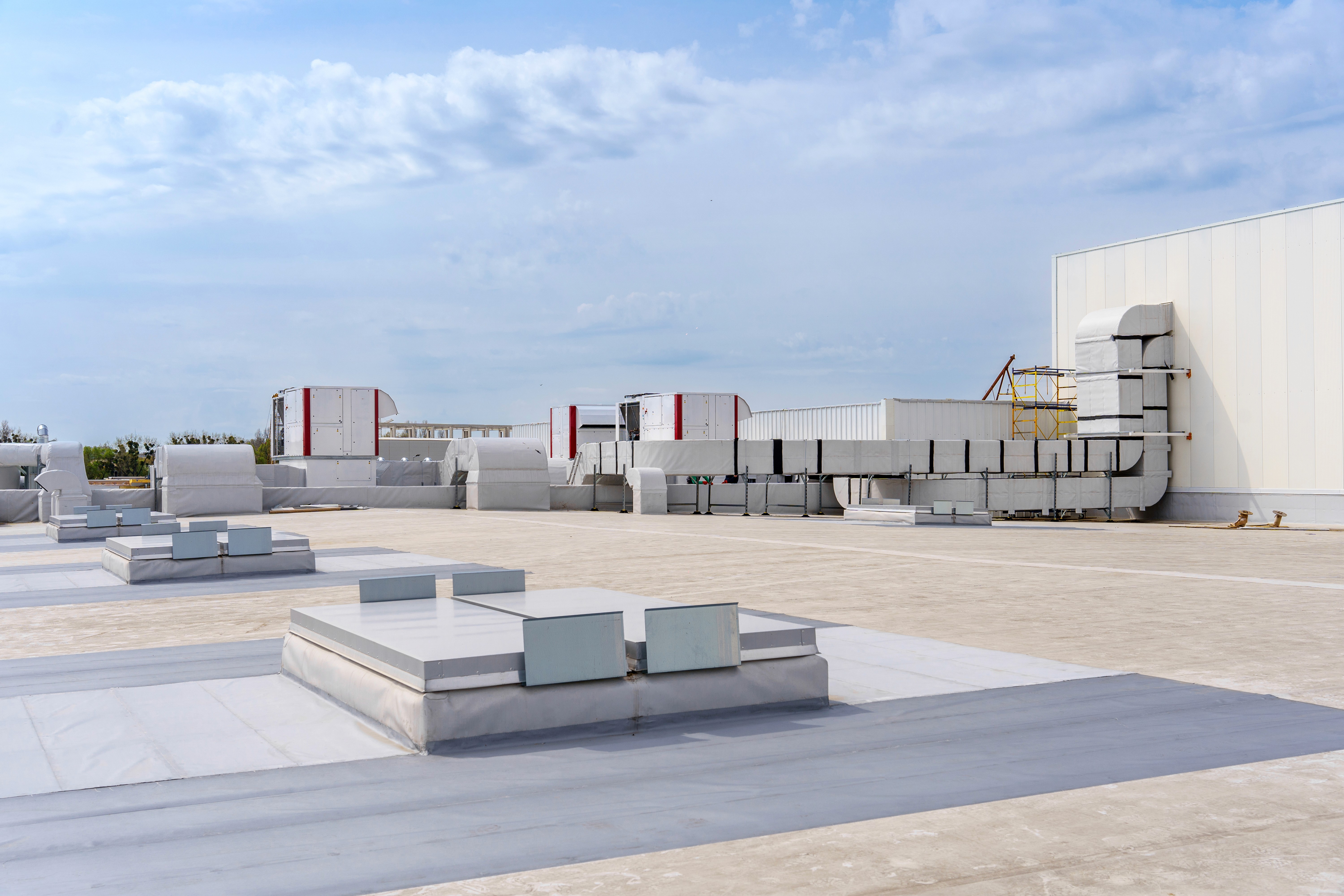 commercial roof
