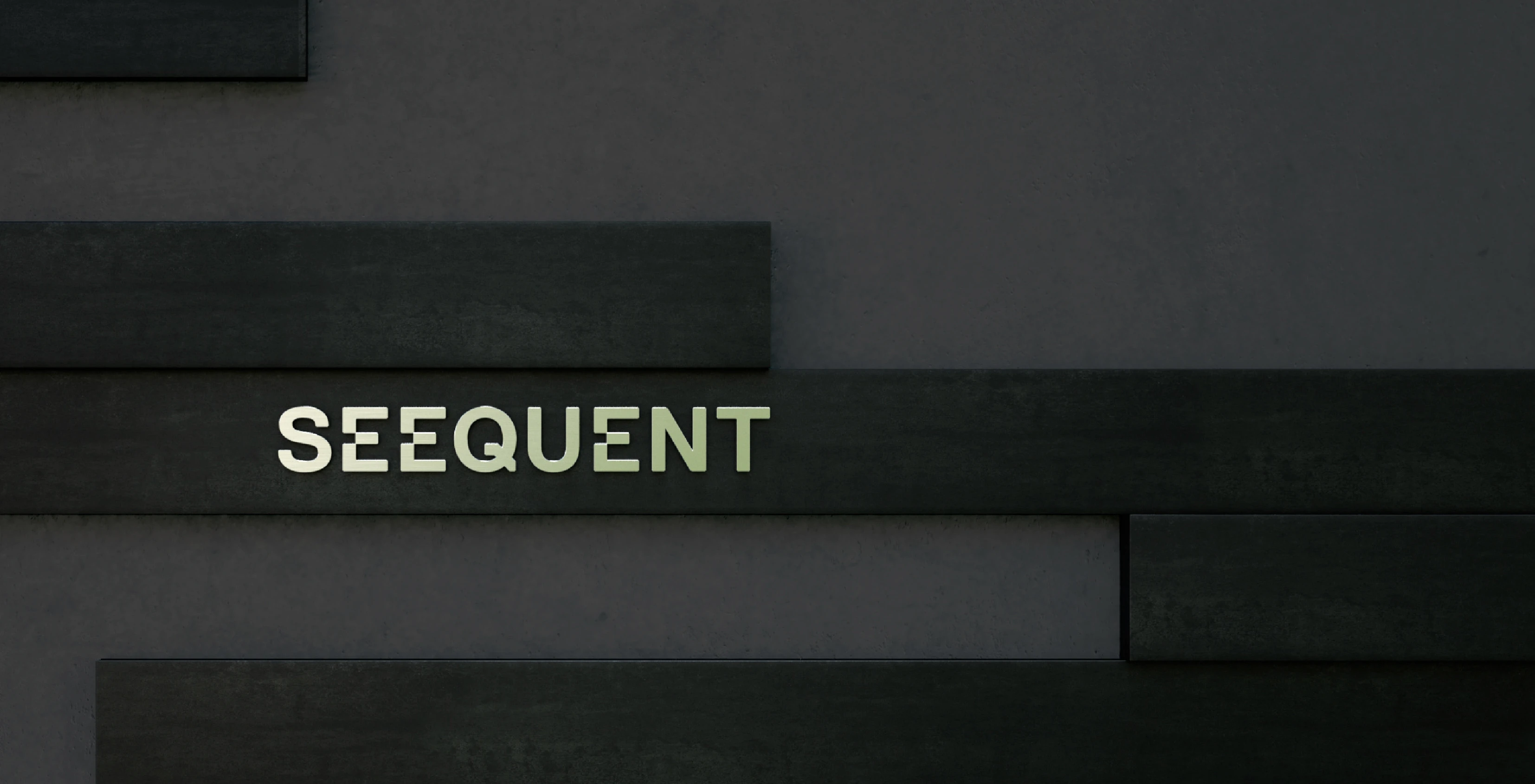 Image of Brand Identity work for Seequent