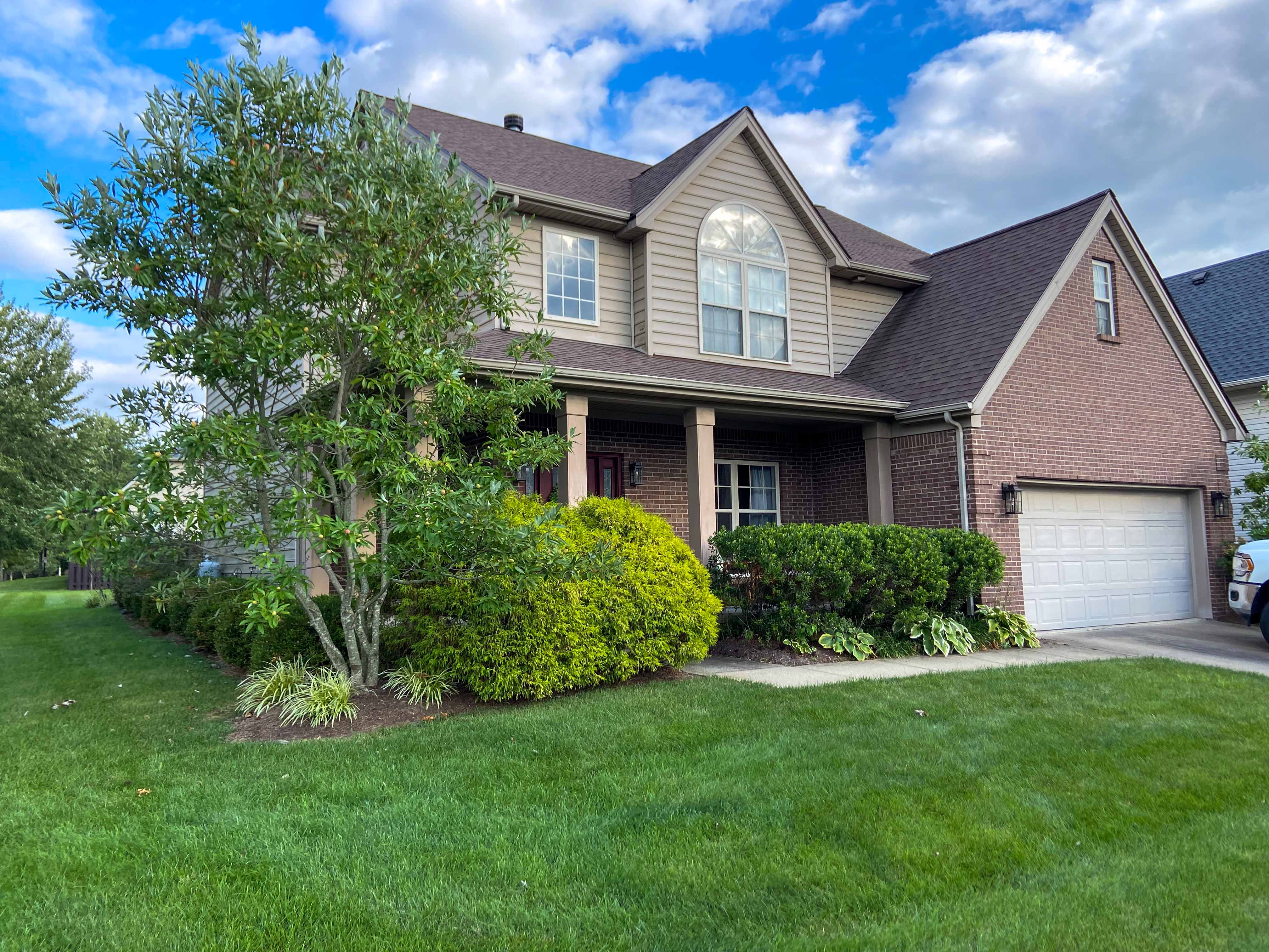Planted hydrangeas, spirea