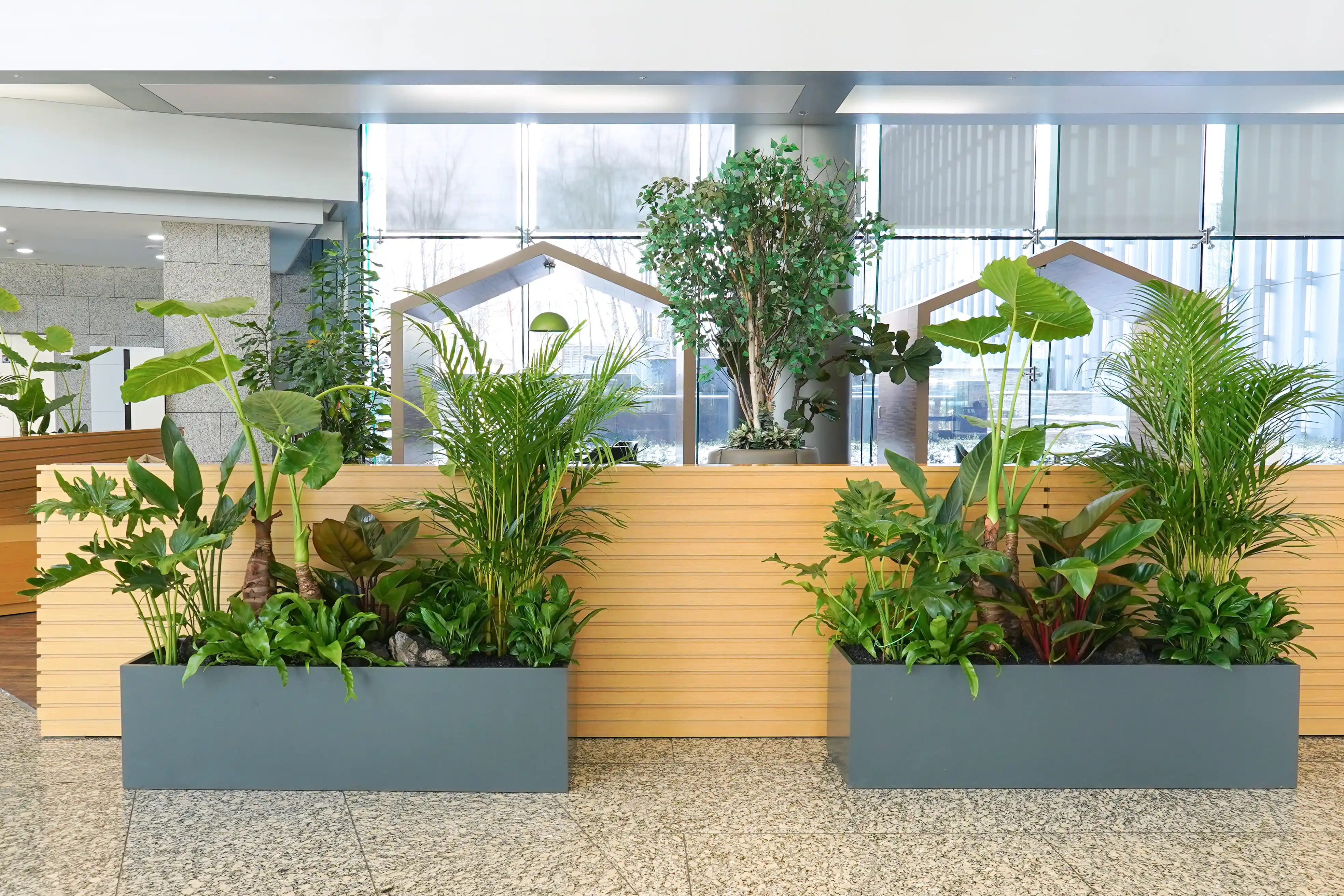 은행 사무실 로비에 설치된 실내정원