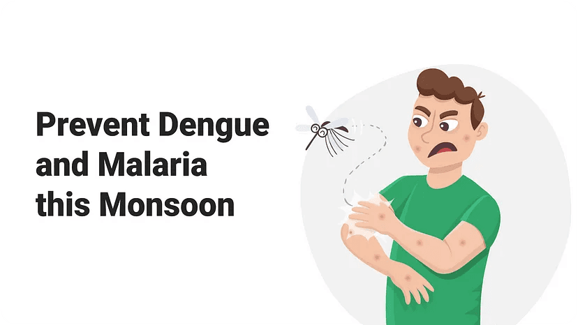 dengue prevention, malaria awareness, monsoon health tips, Pharmacy Pro