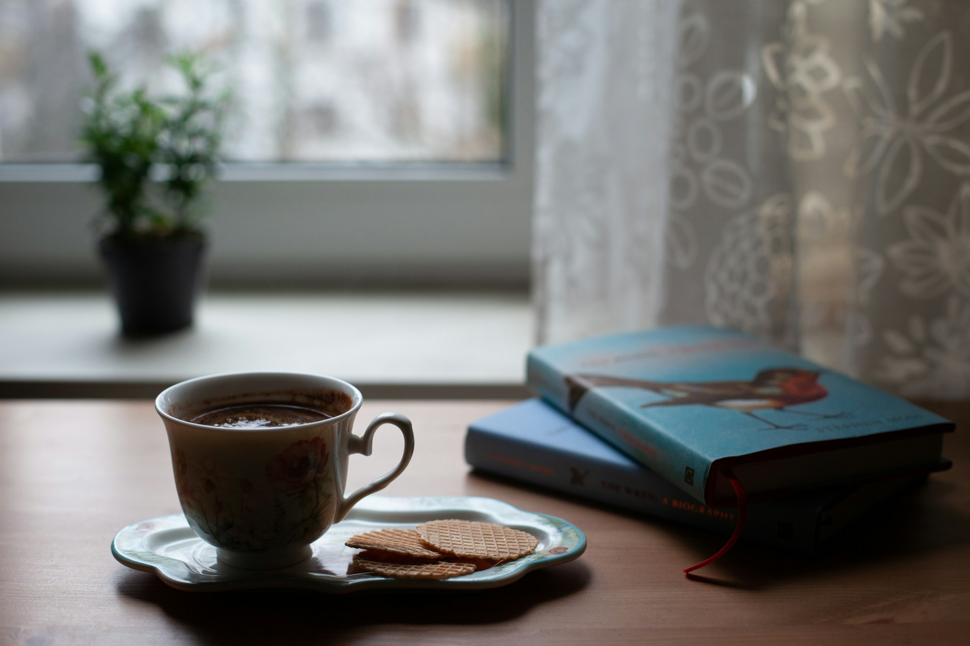 Tea and books by the window