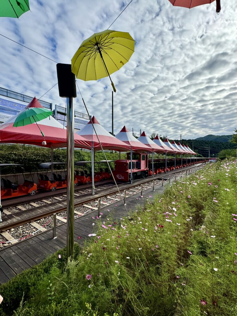 The rail wagons at the station