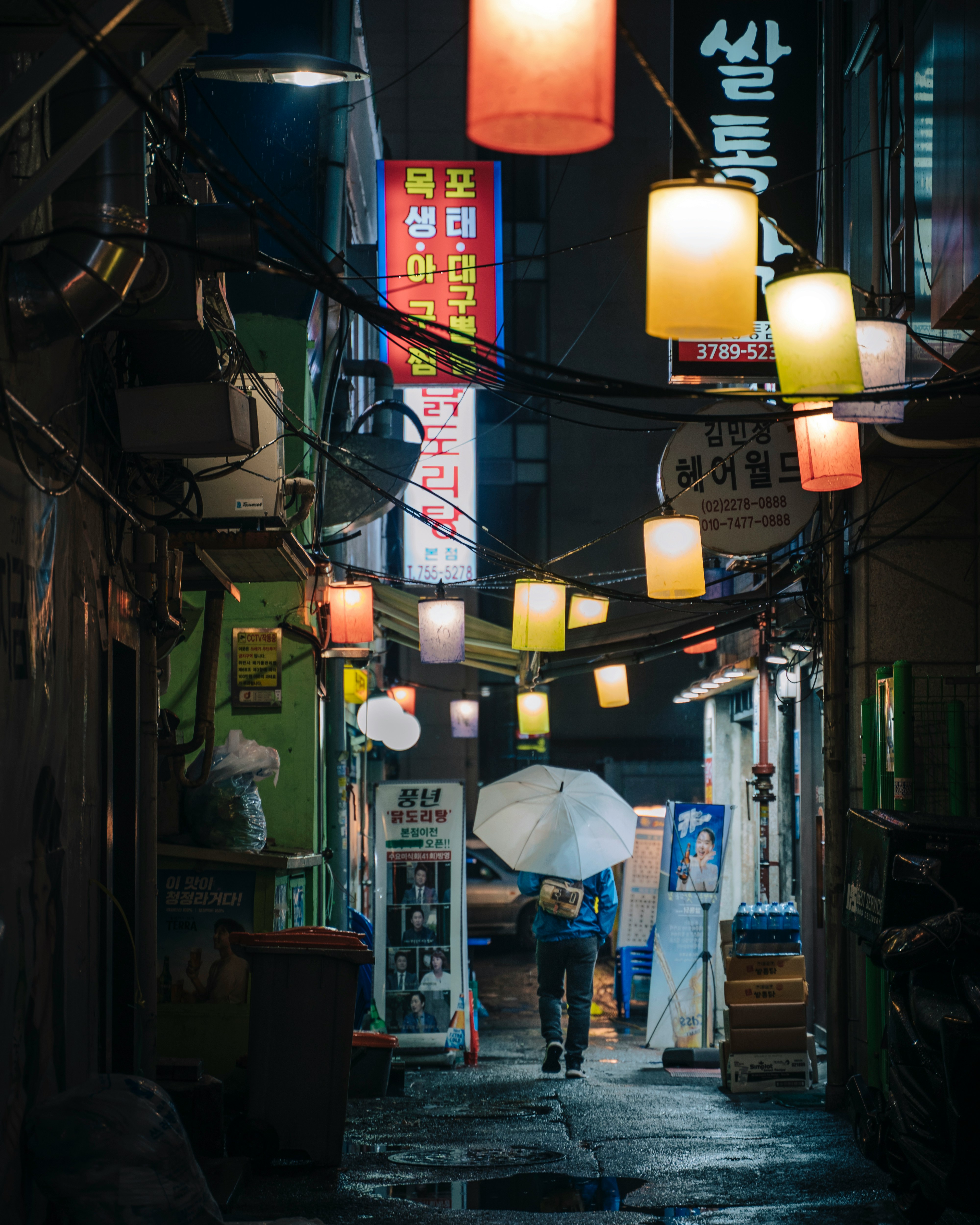 Person walking through lantern lit alley