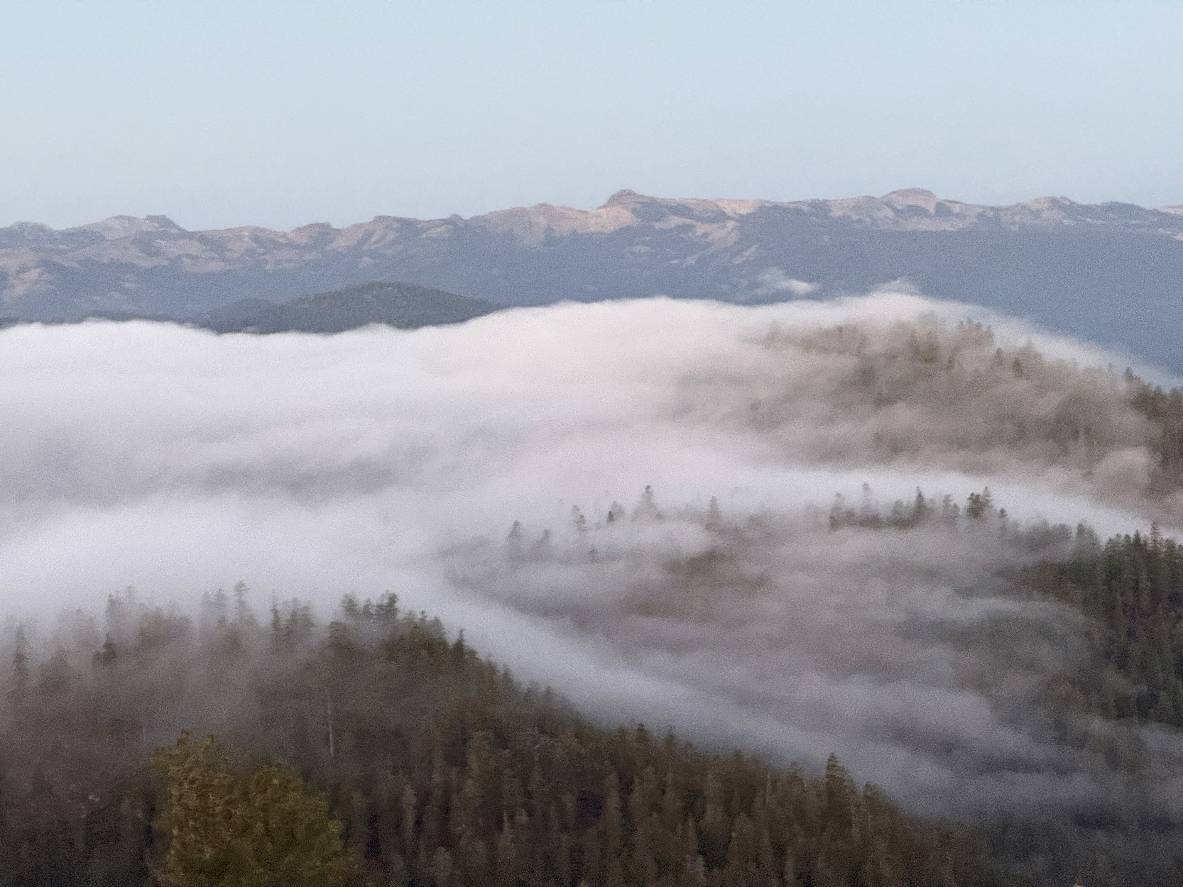 Truckee