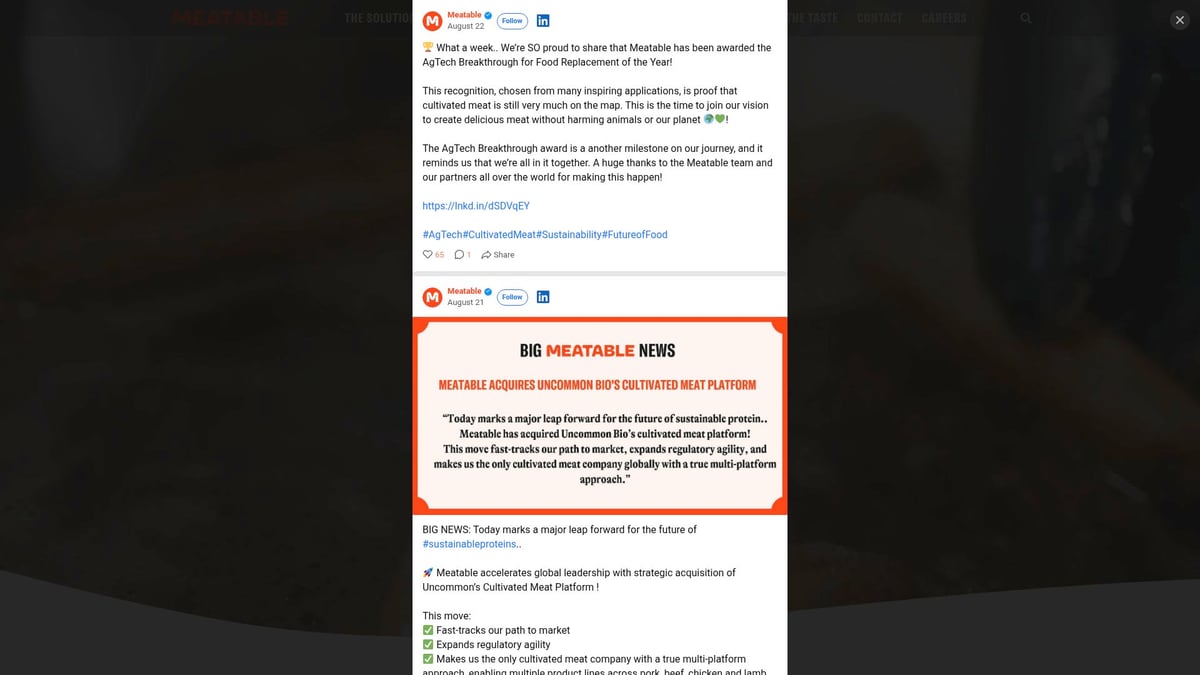 8 Inspiring Startup Website Design Ideas for 2025 Success - Tell a Compelling Visual Story With Video and Imagery