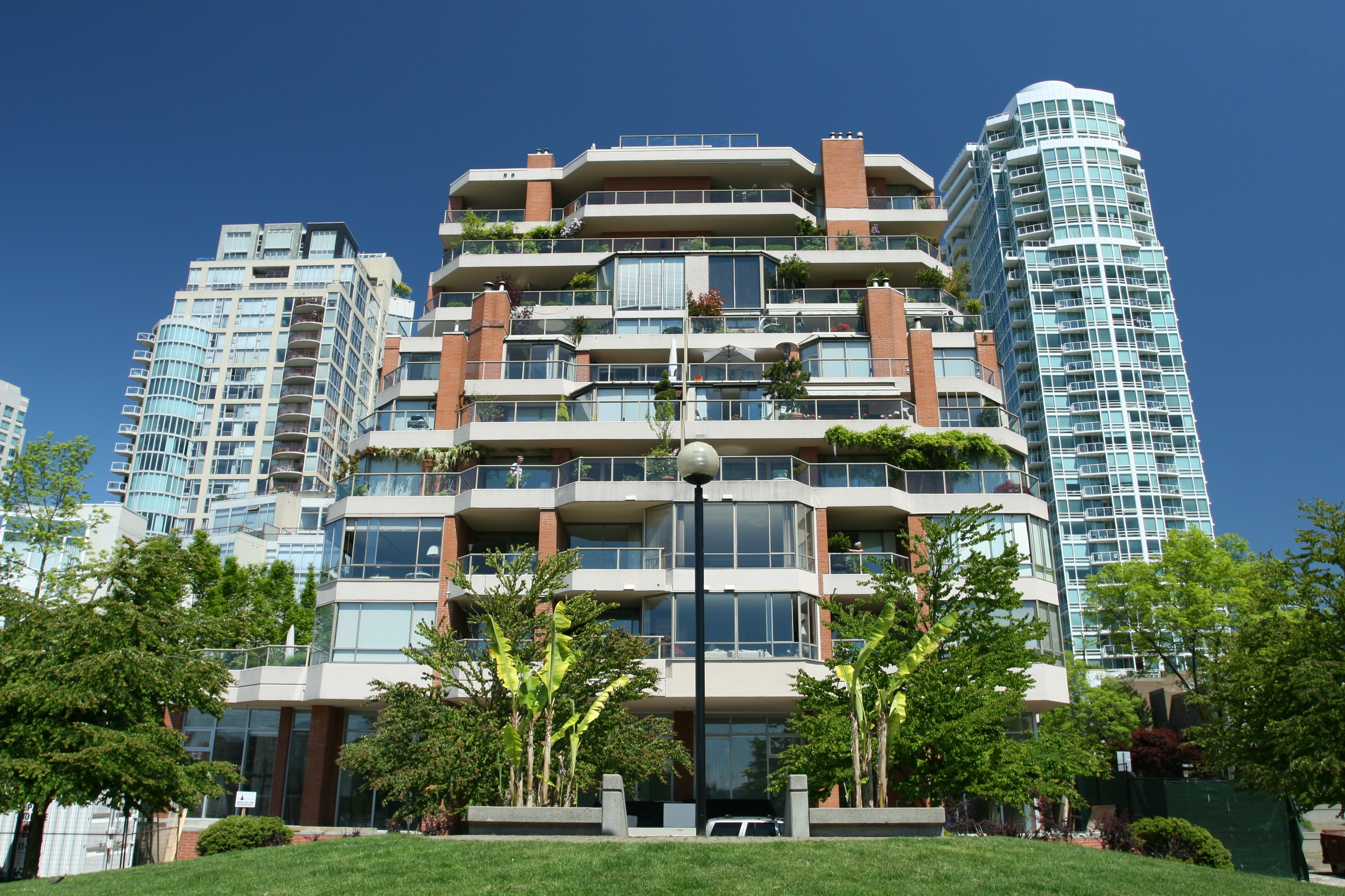 White and maroon sneaker 