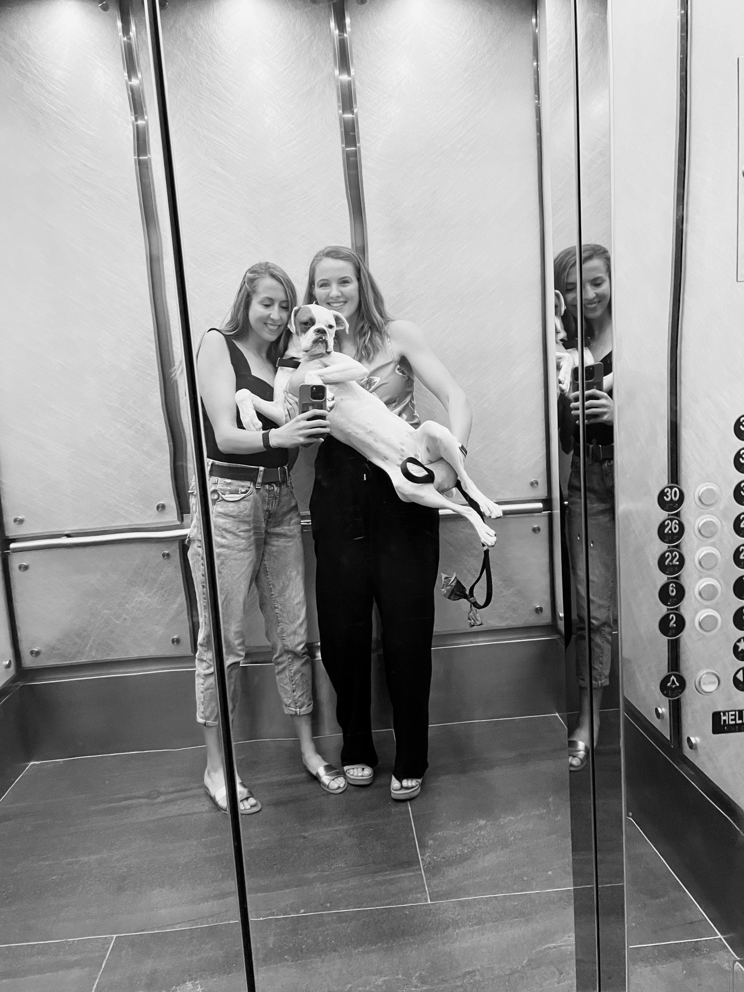 Two woman in a elevator holding a white boxer dog taking a selfie in the reflective surface