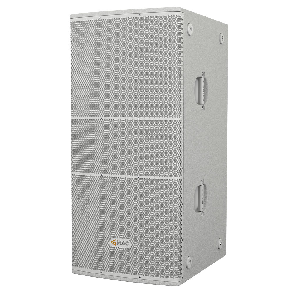 Light grey rectangular speaker with dual drivers.