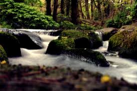 laed Braes River cascading thorugh rocks