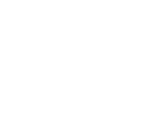 Terrstar Logo