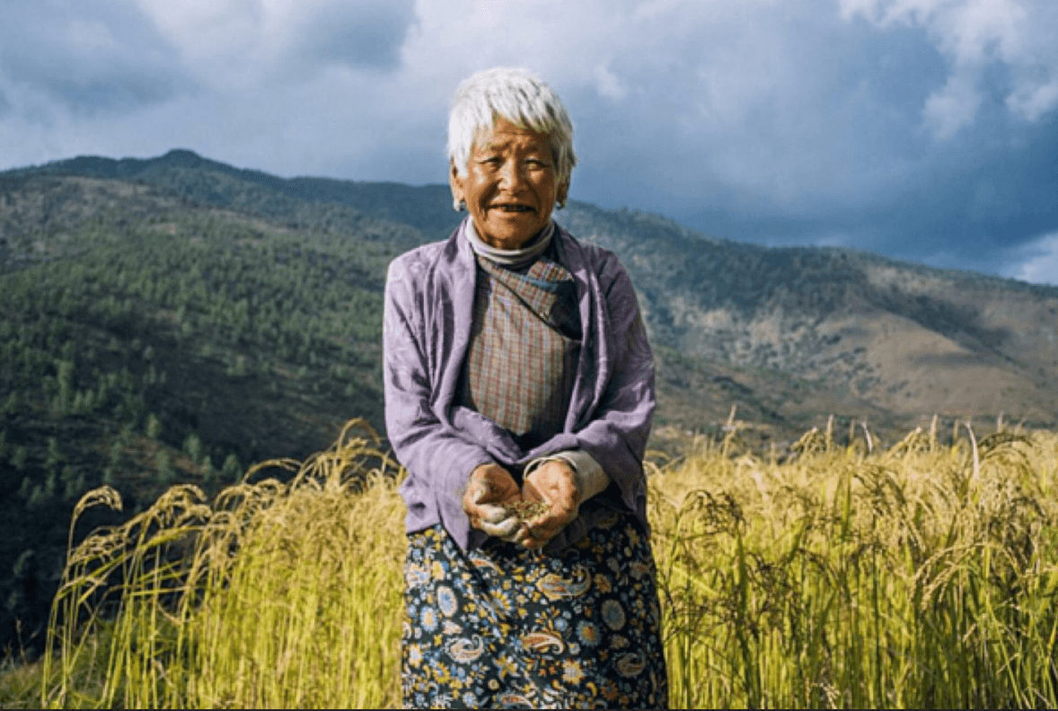 Sehroes Cafe - Agra - Letters