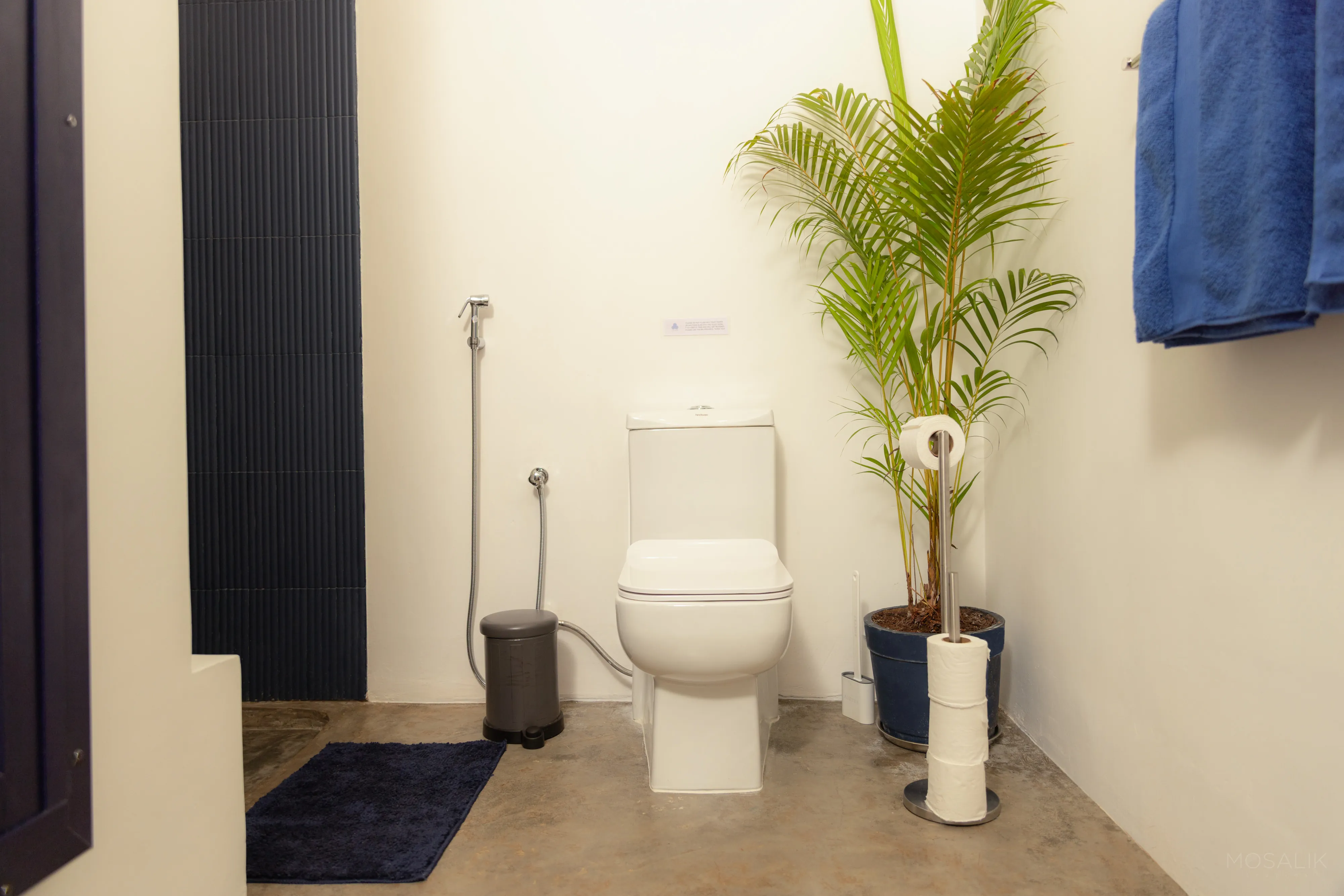 Simple white bathroom with a palm at Jaali Blue