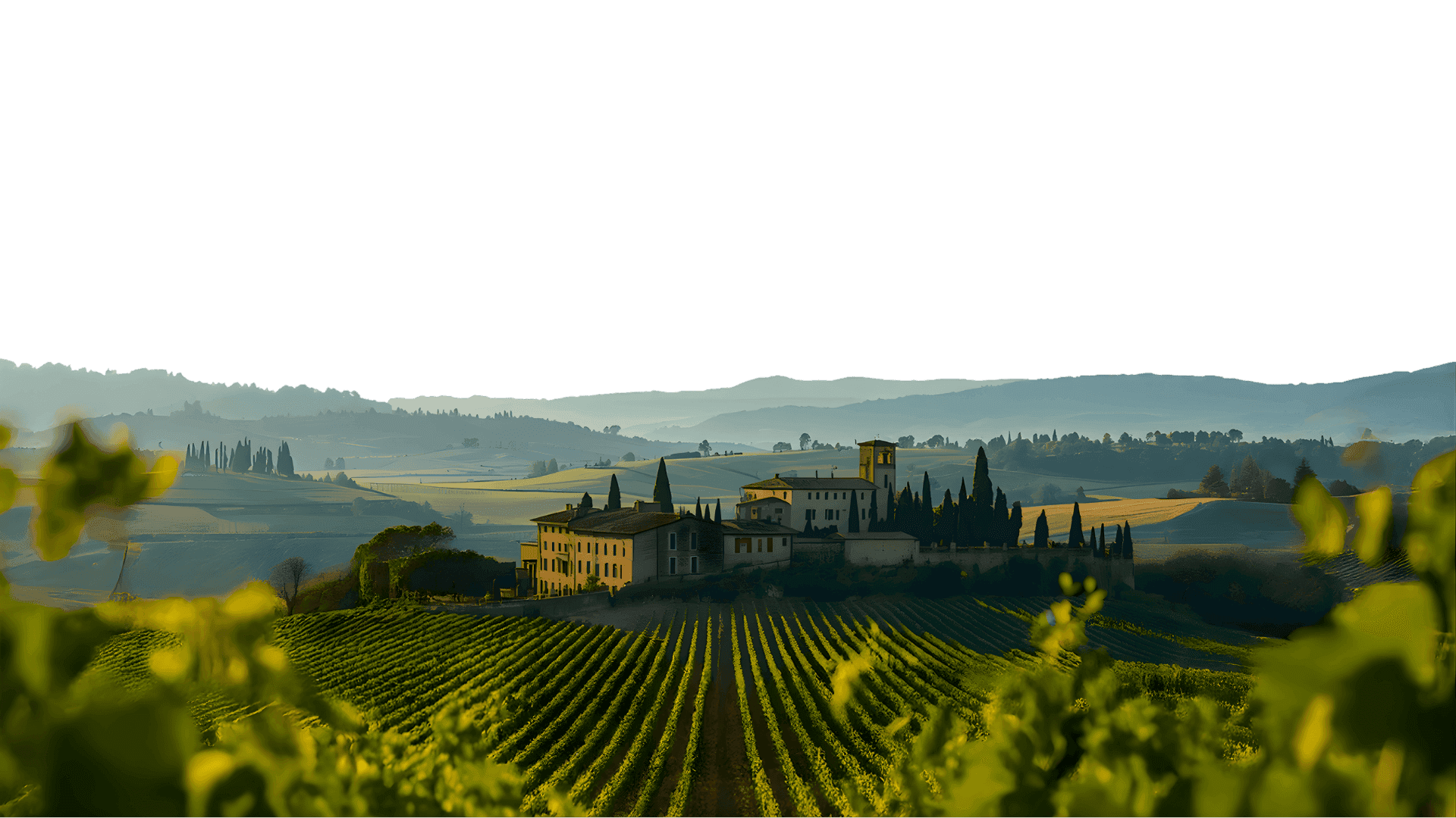 Landscape with a vineyard in rows leading to a building with a tower, rolling hills in the distance.