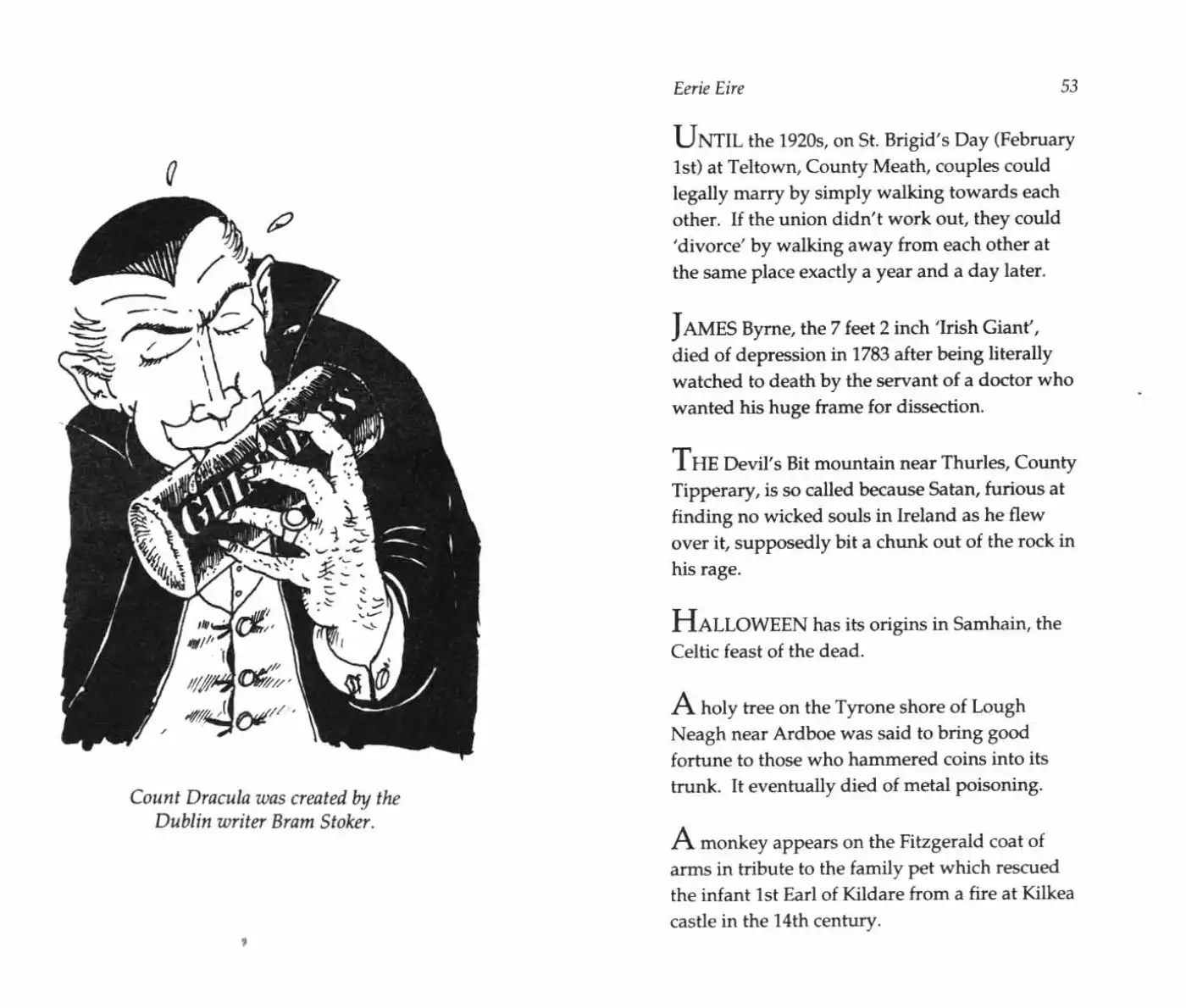 Never Fascinating facts about Ireland Inner Page