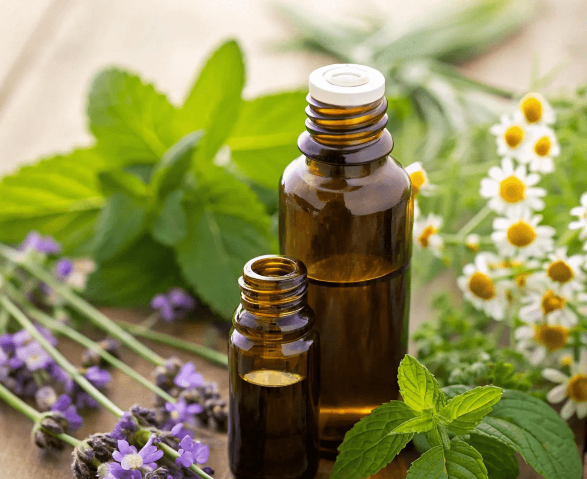 Bottiglie di oli essenziali per aromaterapia e benessere olistico con Giacomo Tropea