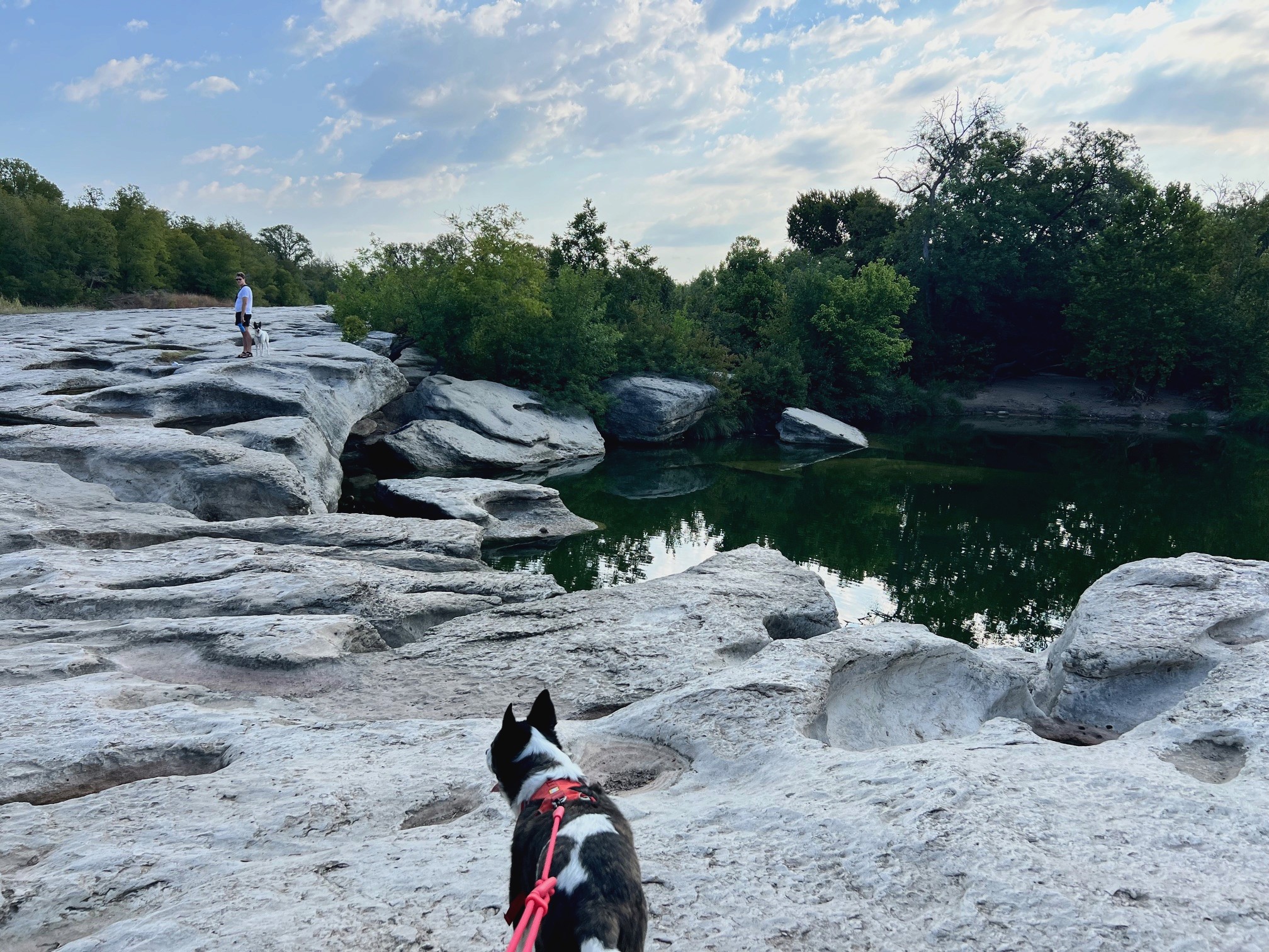 The image featured at the top of the about us page #1