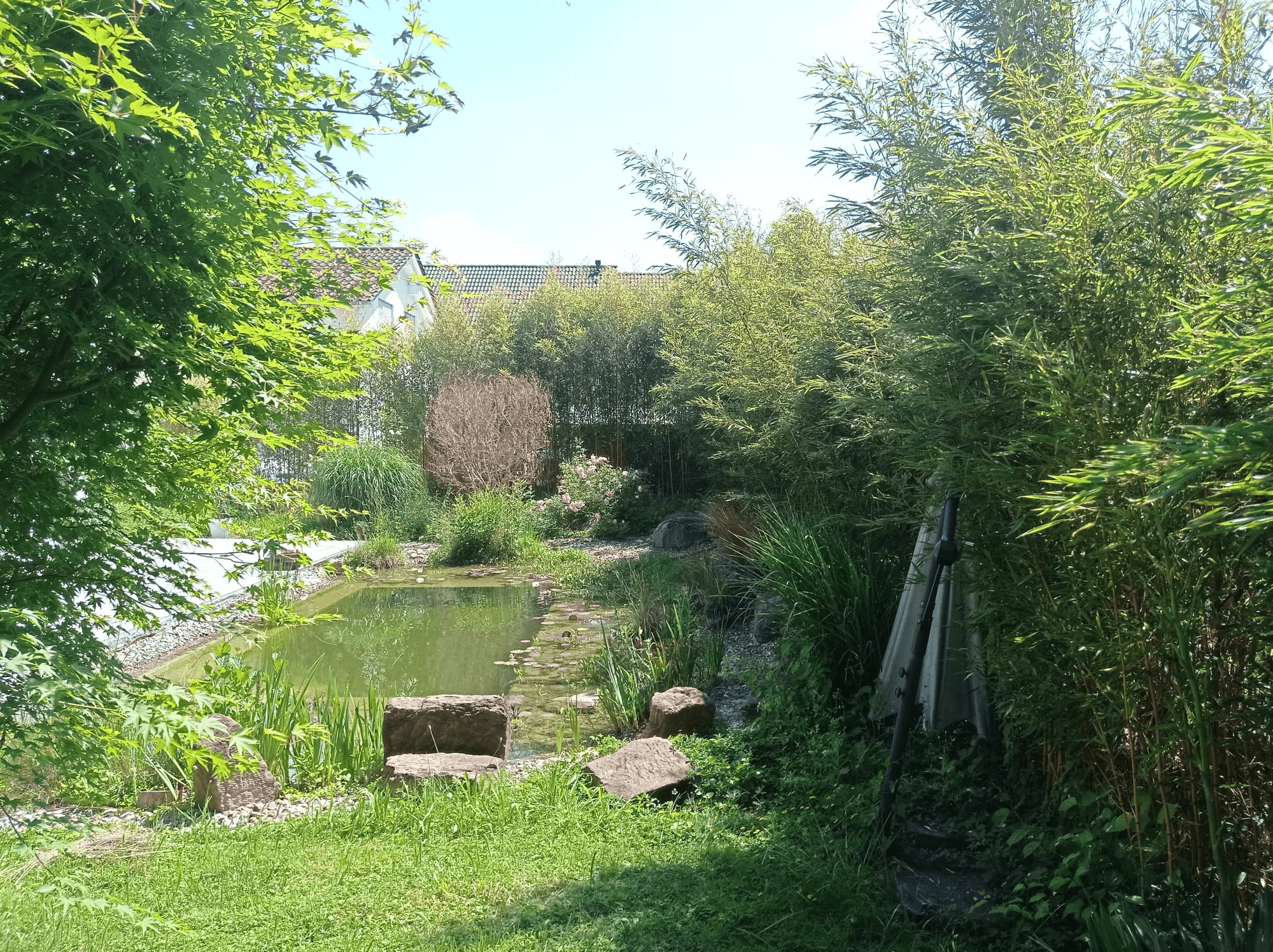 Landscaper and Landscaping gardening service template framer by real mehedi