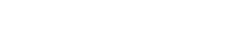 Navan logo