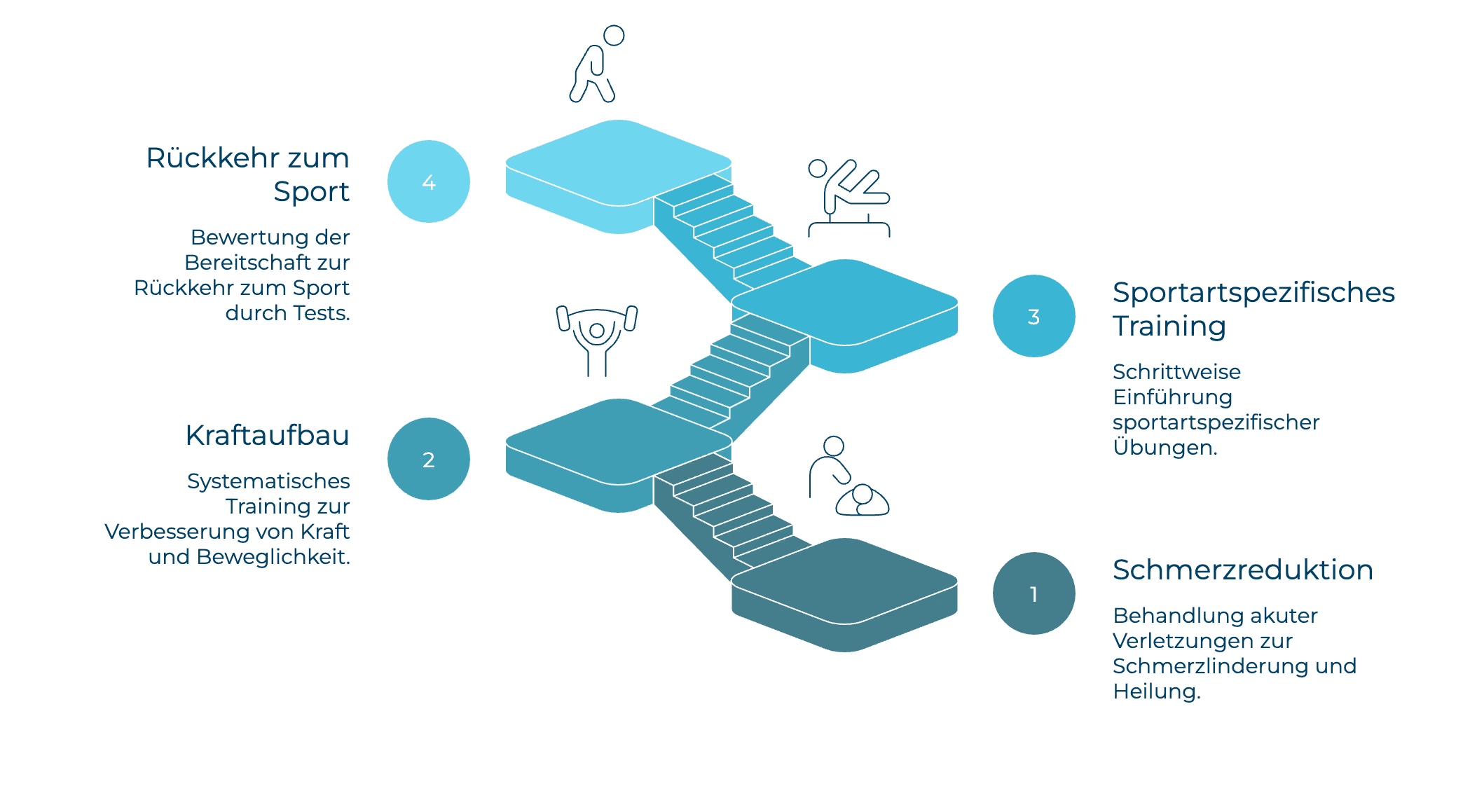 Return to Sports Ablaufplan