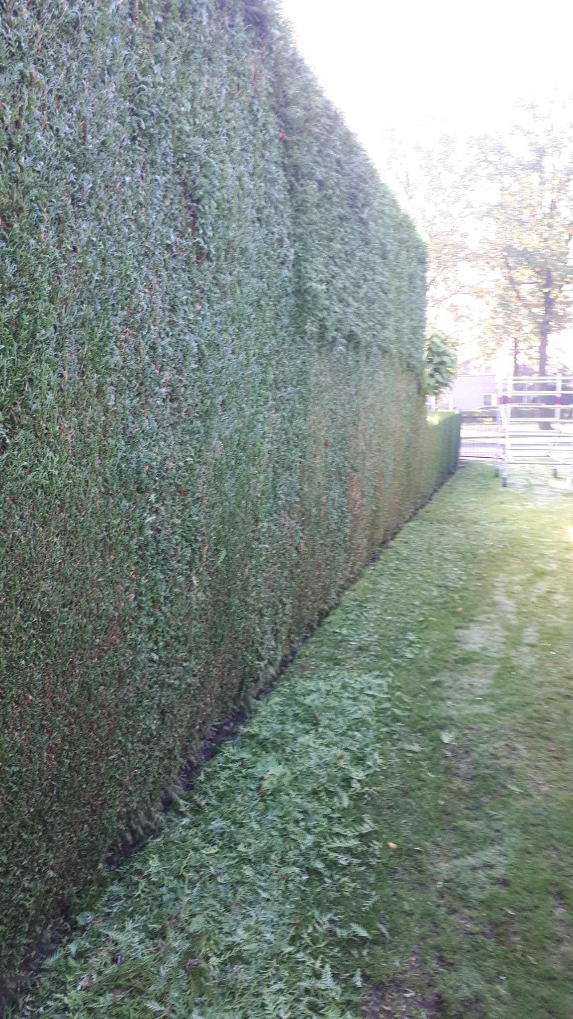 Gardener team at work