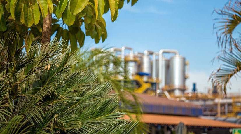 The Unstoppable Rise Of The Metaverse