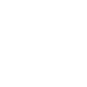Step Icon