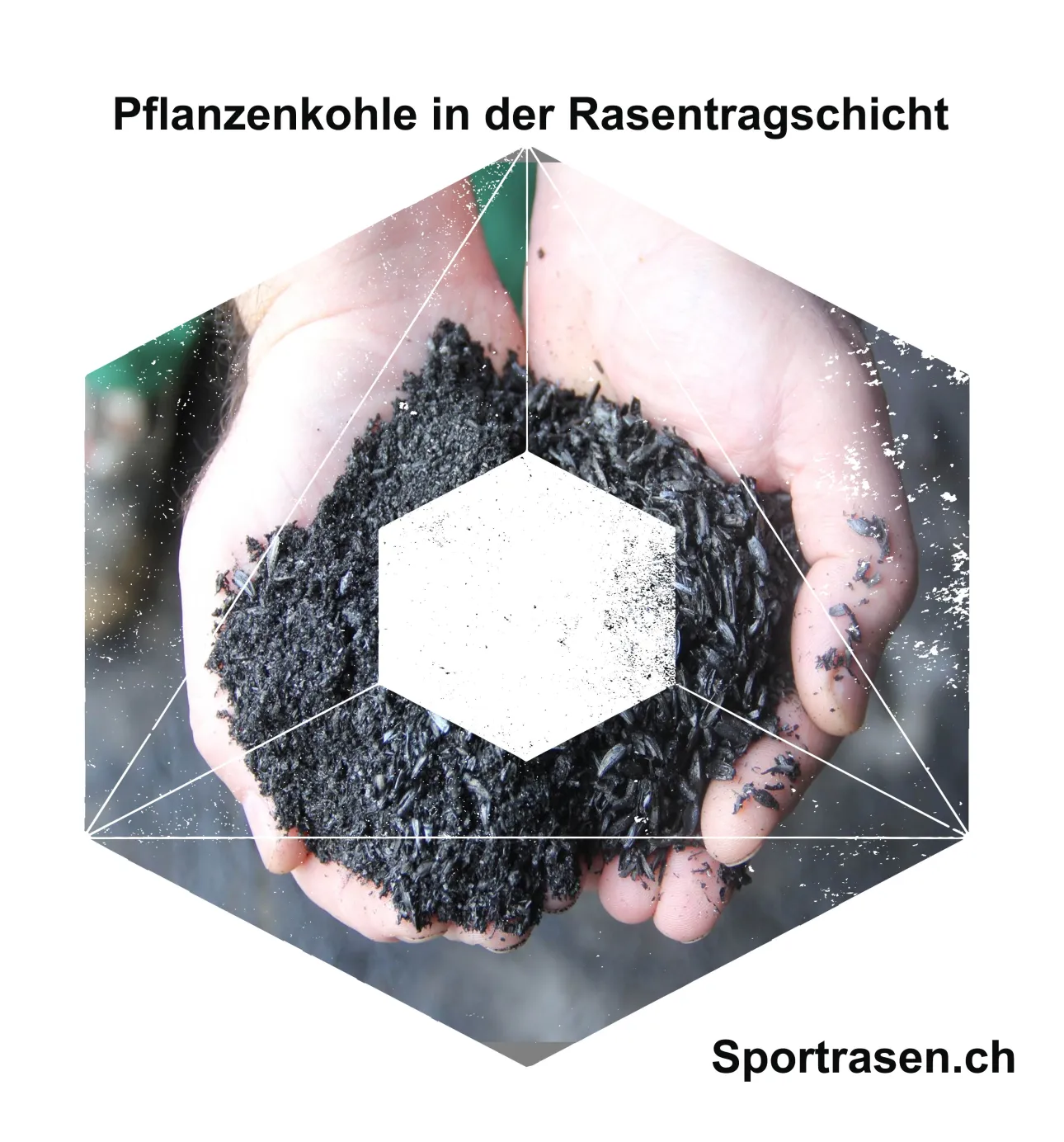 Pflanzenkohle im Rasen