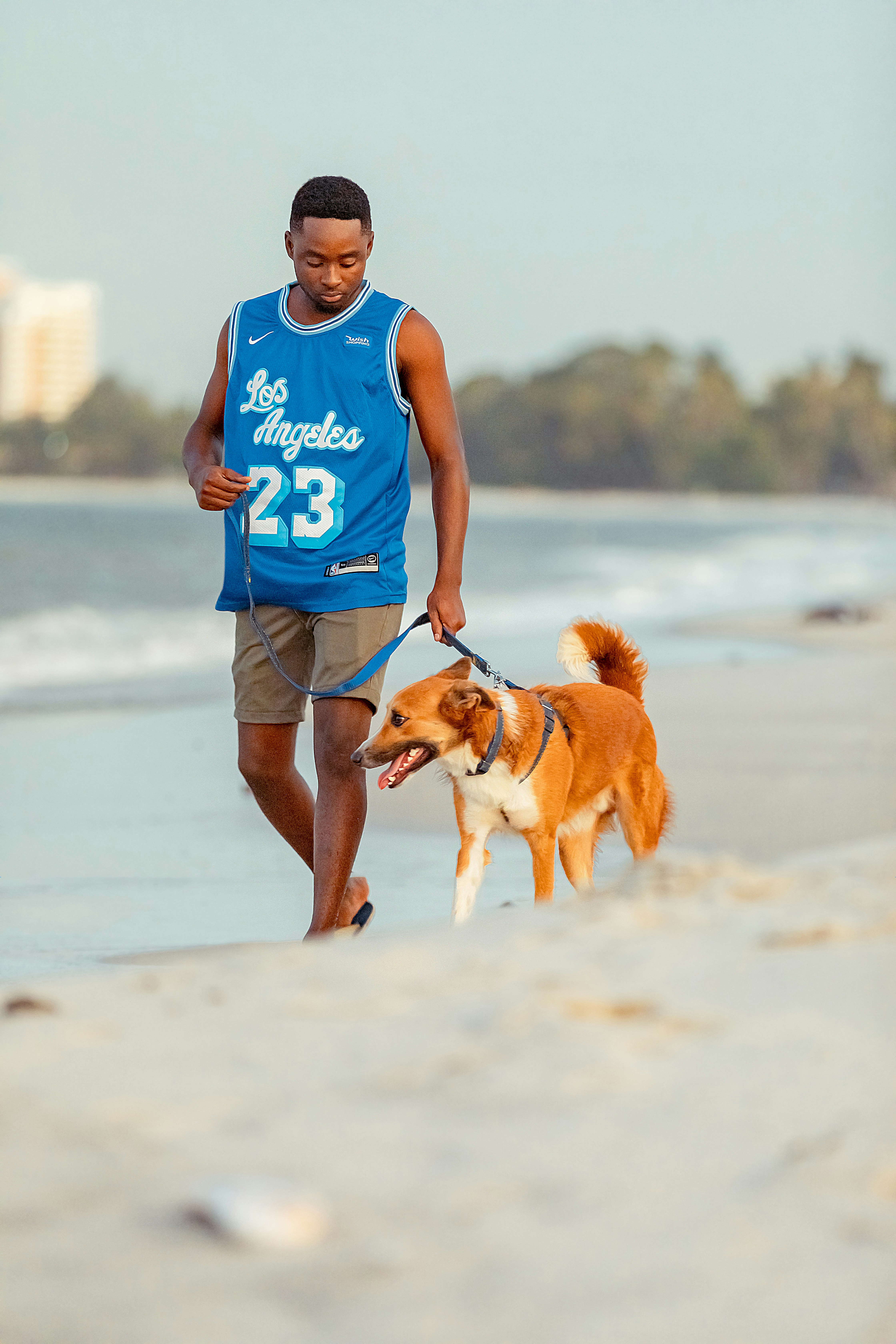 a man walking a dog on a beach