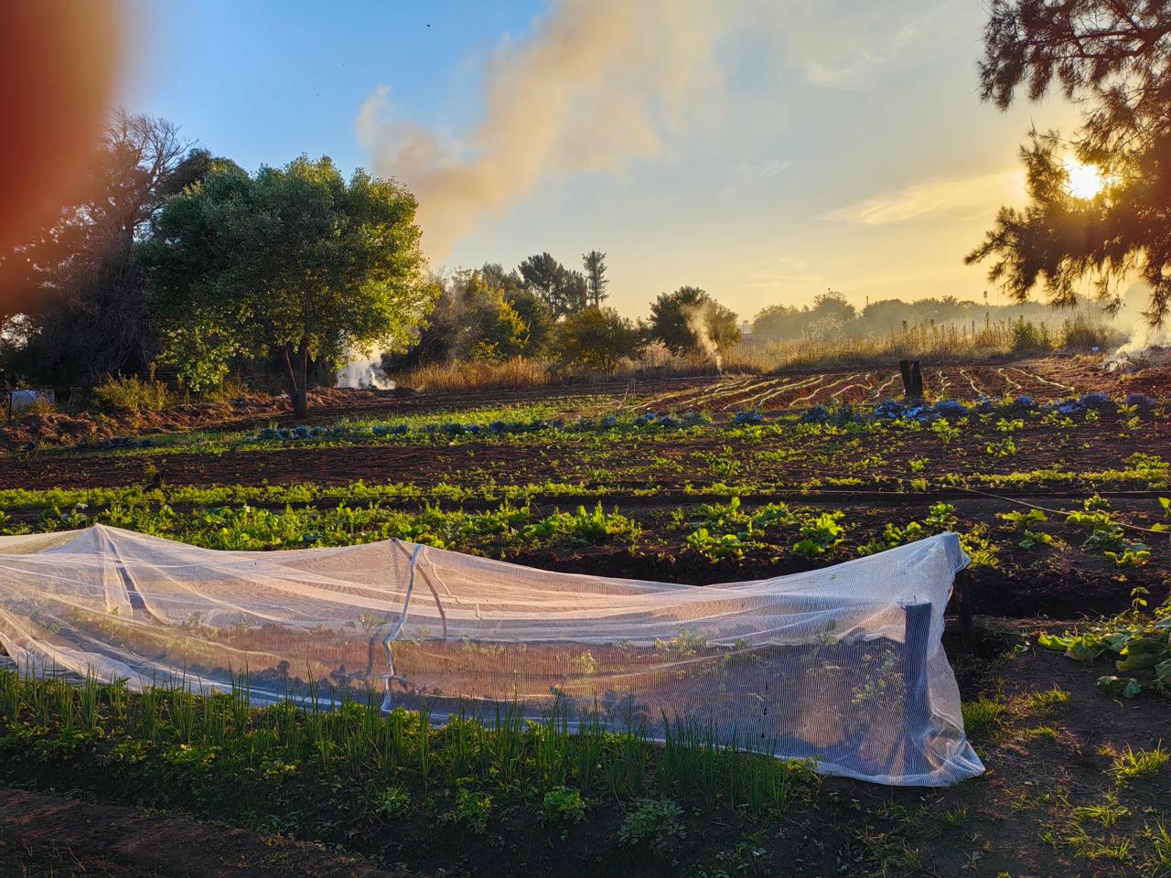 Land image