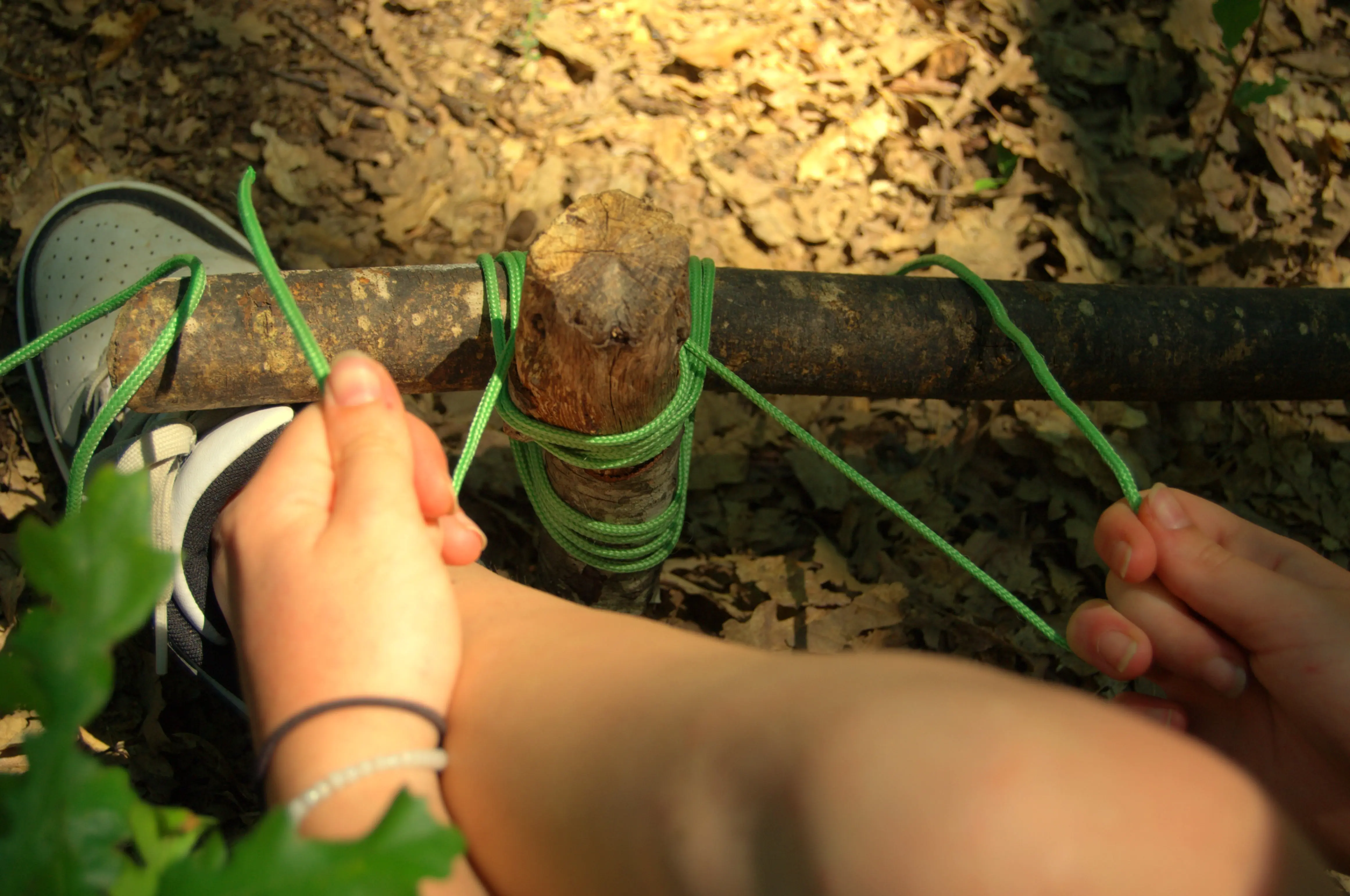 Mani di bambini che lavorano con corde verdi e ramo di legno durante attività di outdoor education, didattica all’aperto e manualità nell’educazione ambientale scuole