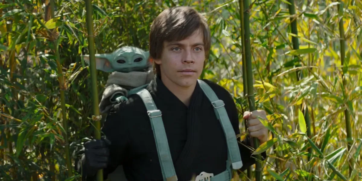 Luke Skywalker carries Grogu in a backpack through a lush bamboo forest, echoing his own training with Yoda. The young Force-sensitive learns the ways of the Jedi in The Book of Boba Fett.