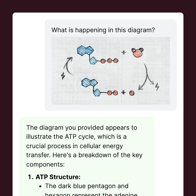 Image recognition lets students submit handdrawn diagrams an Flint will provide explanations. 