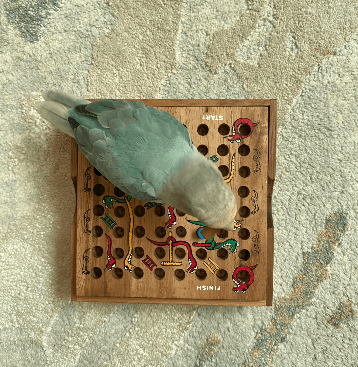 Premium UX Template for Framer