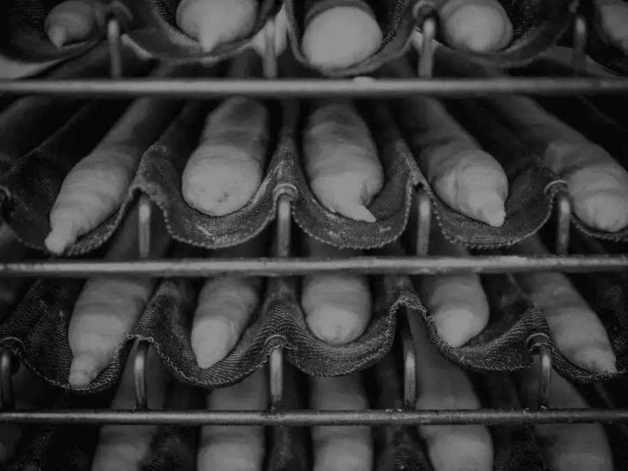 Pain d'Avignon wholesale artisan bread production