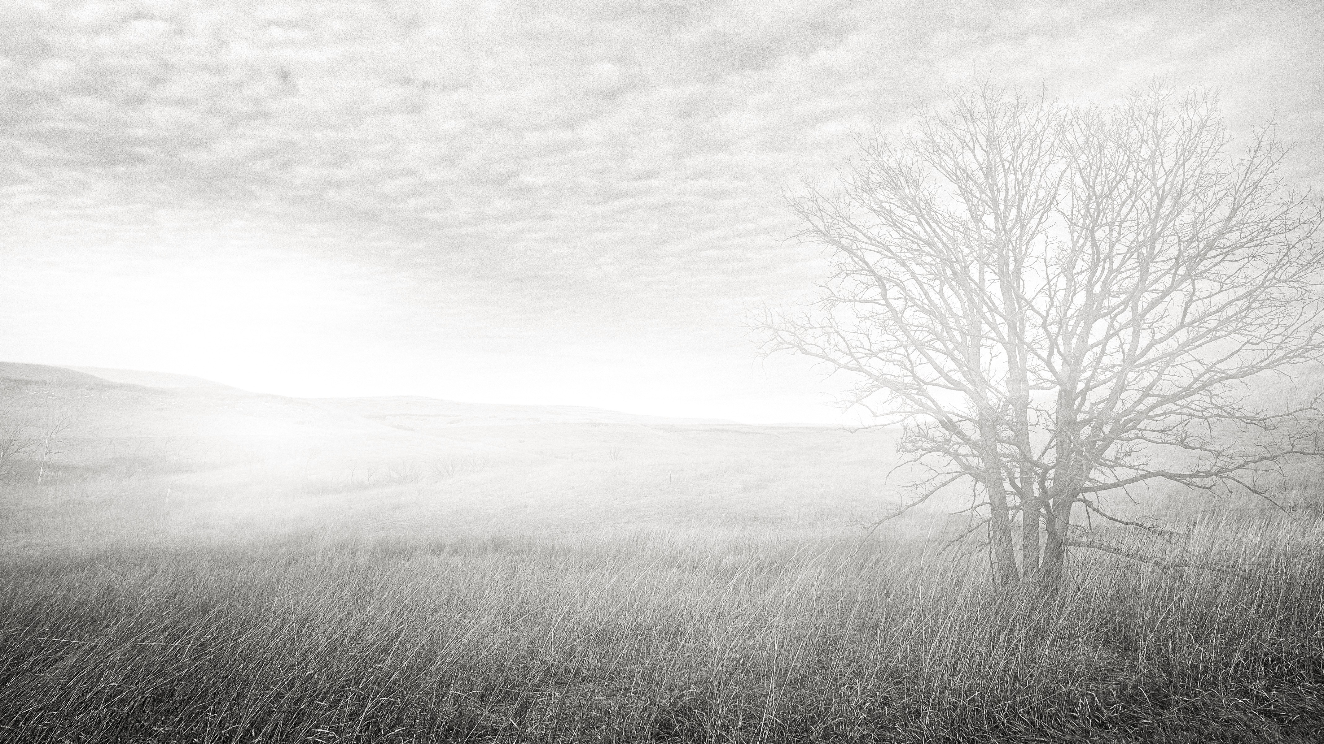 The image featured at the top of the about us page #2