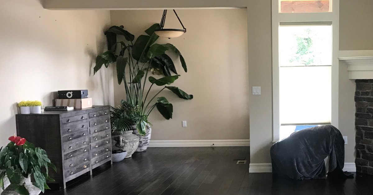 Before Image Elegant-Simplicity-Interior-Design-Seattle-Interior-Designer-Seattle-Burrow-Bay-House-Living-Room
