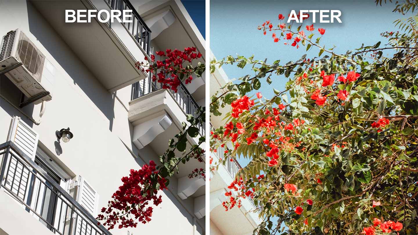 Unedited vs edited image comparison of colorful tree with red blossoms set against a white building and blue sky