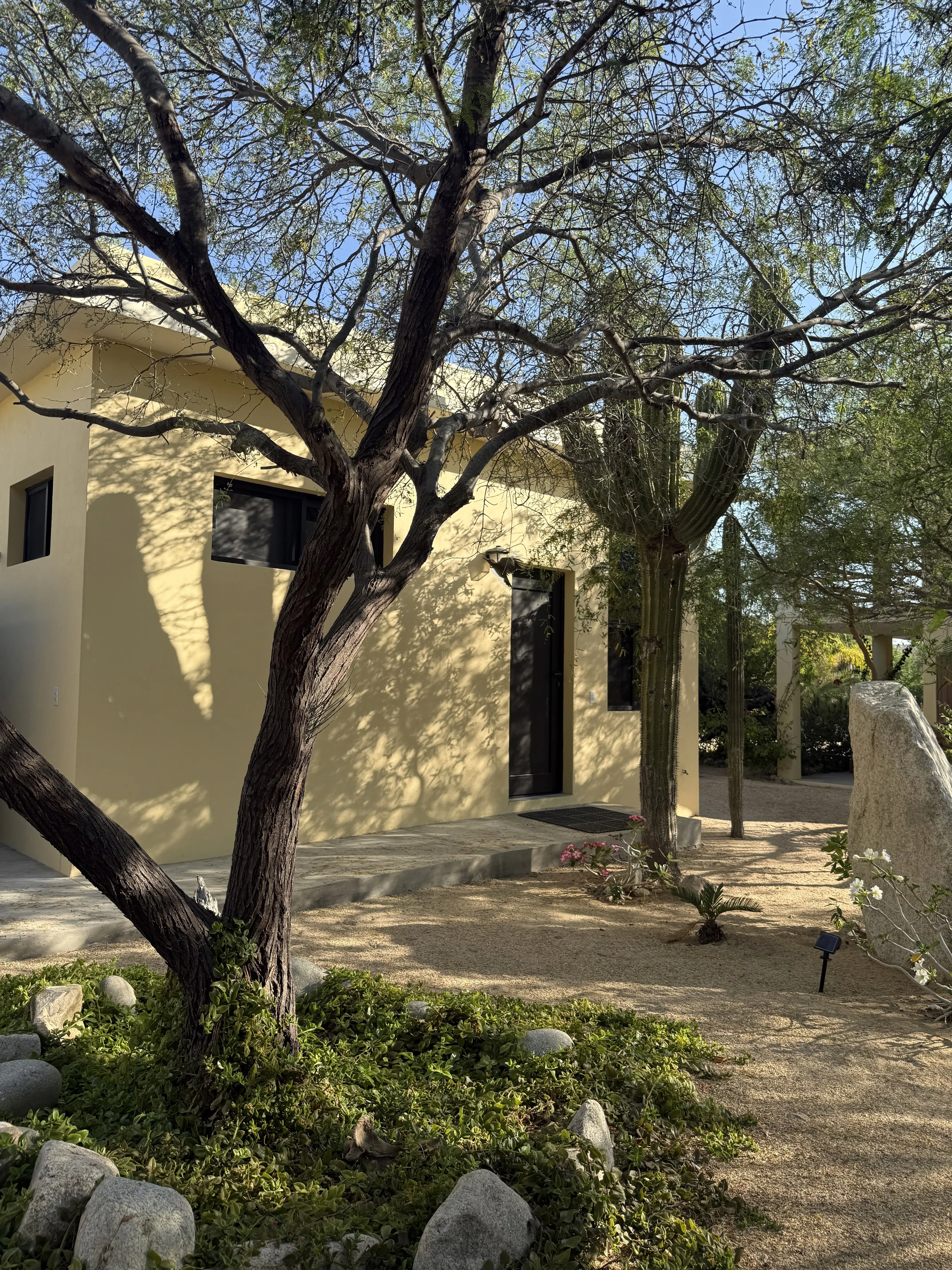 1 Bedroom Apartment 1