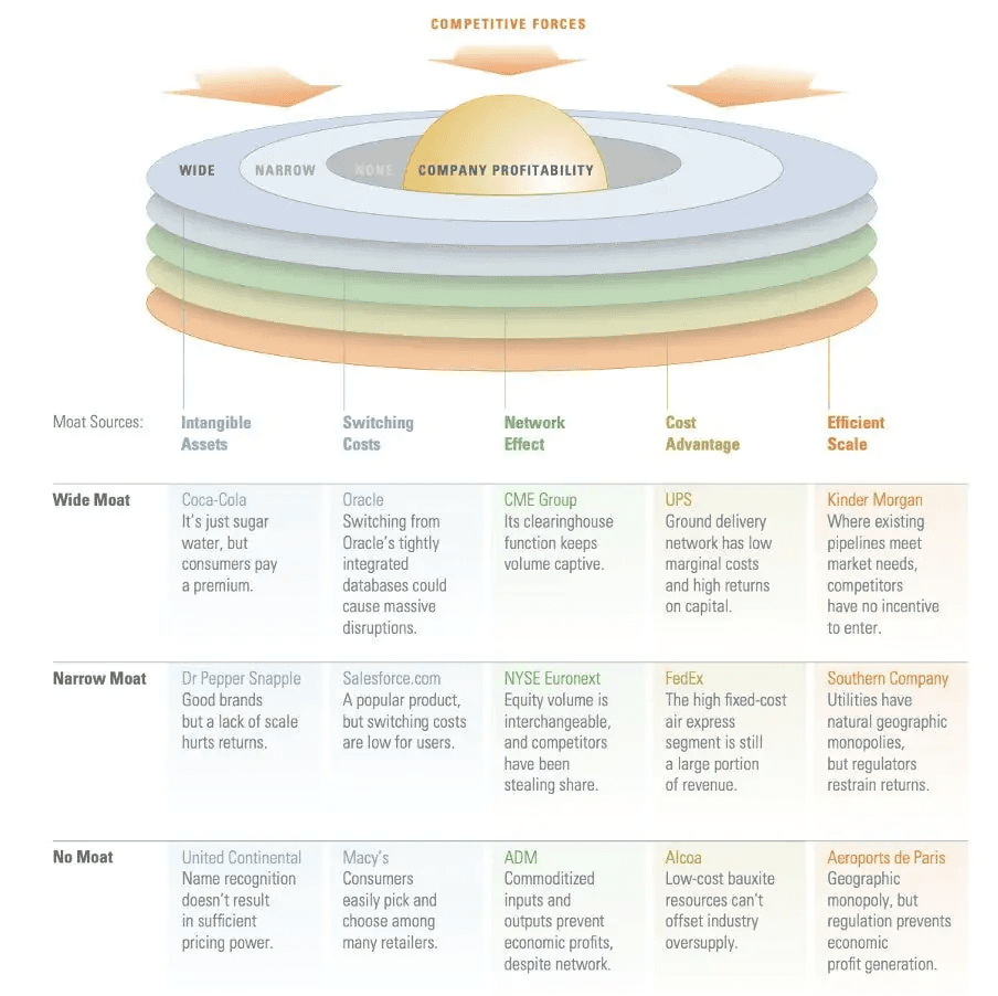 Infographic chart detailing examples of economic moat types, showing Intangible Assets and Switching Costs categorized by wide, narrow, and no moats with company examples like Coca-Cola, Oracle, and Macy's.